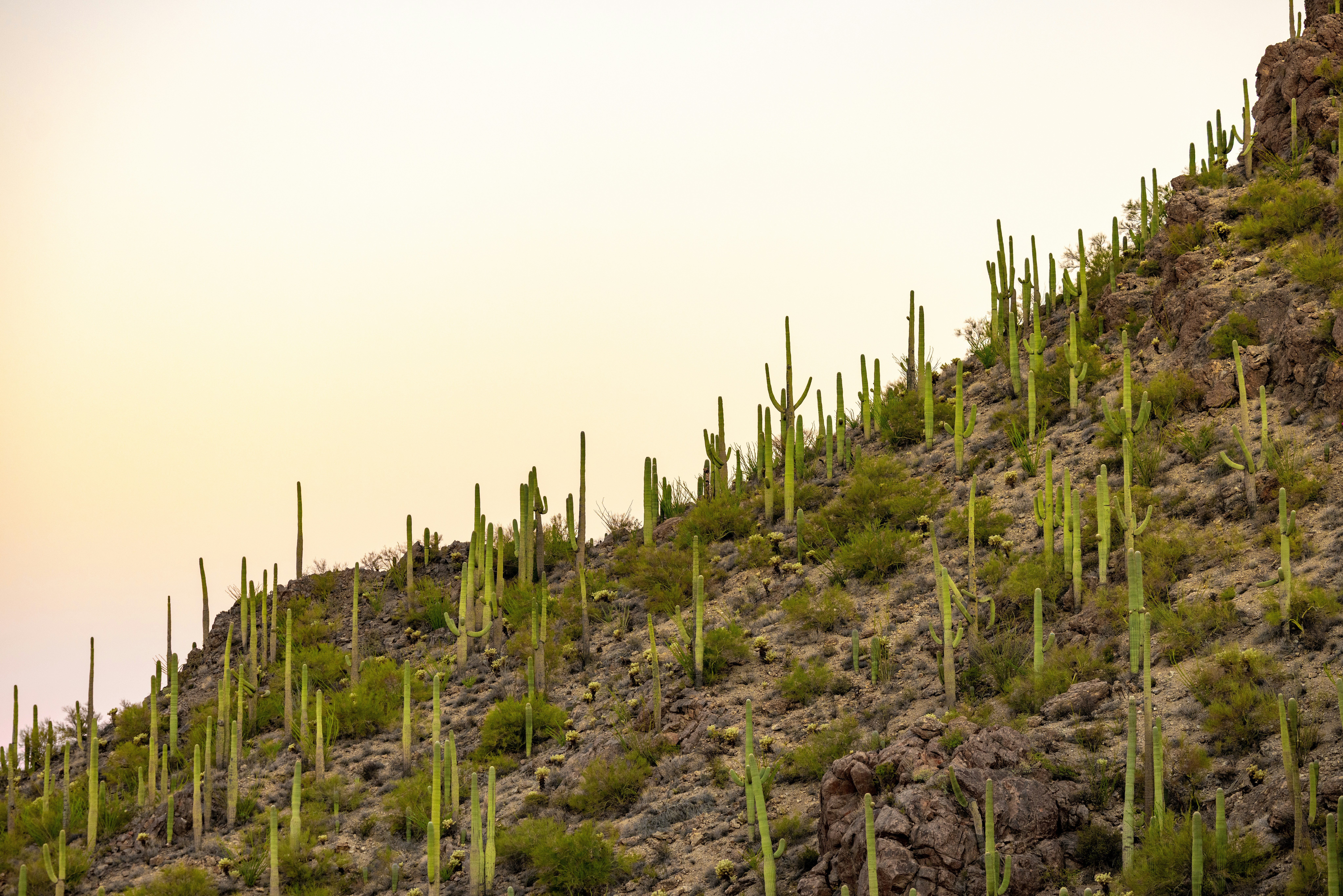 Photo by casunshine0508