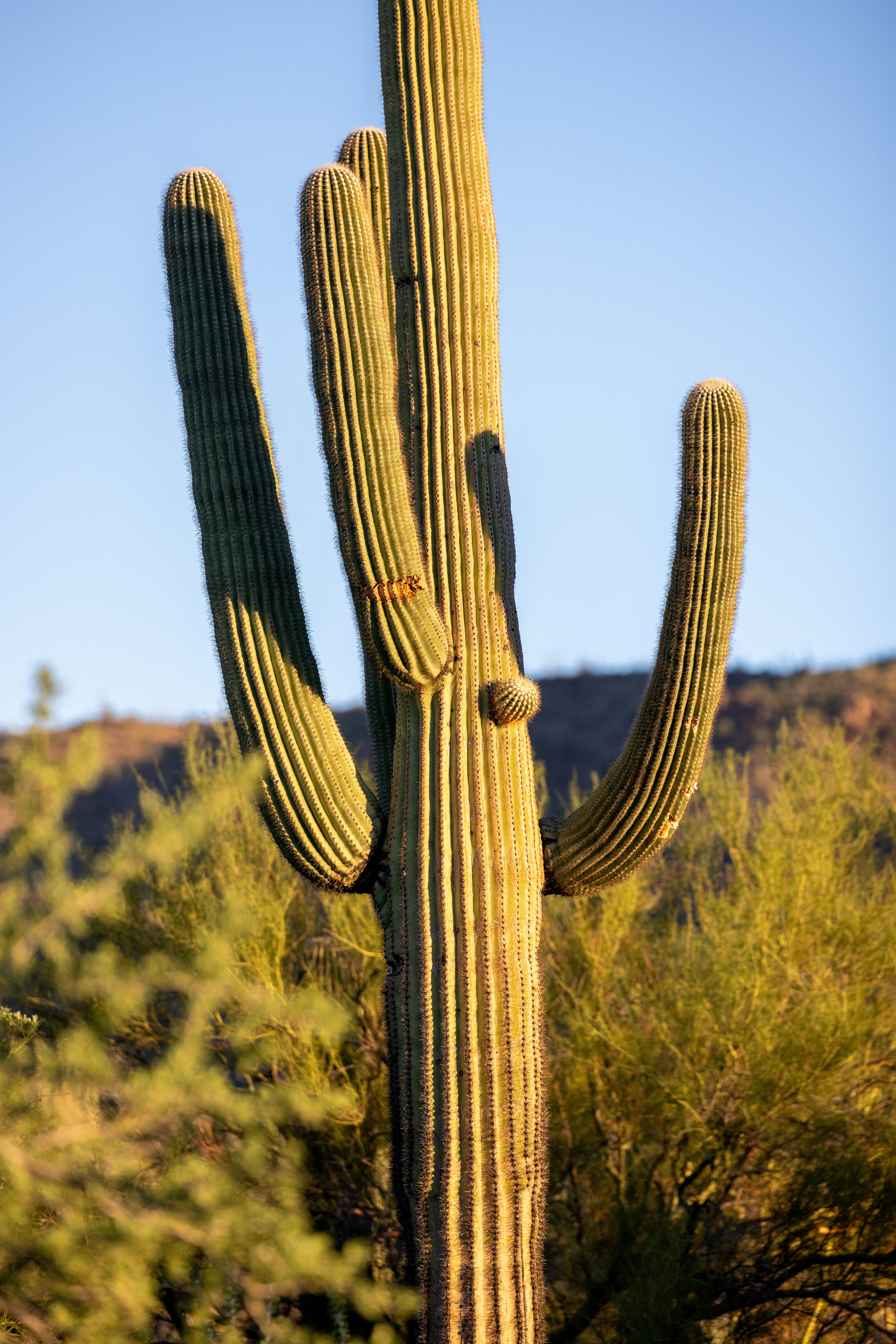 Photo by casunshine0508