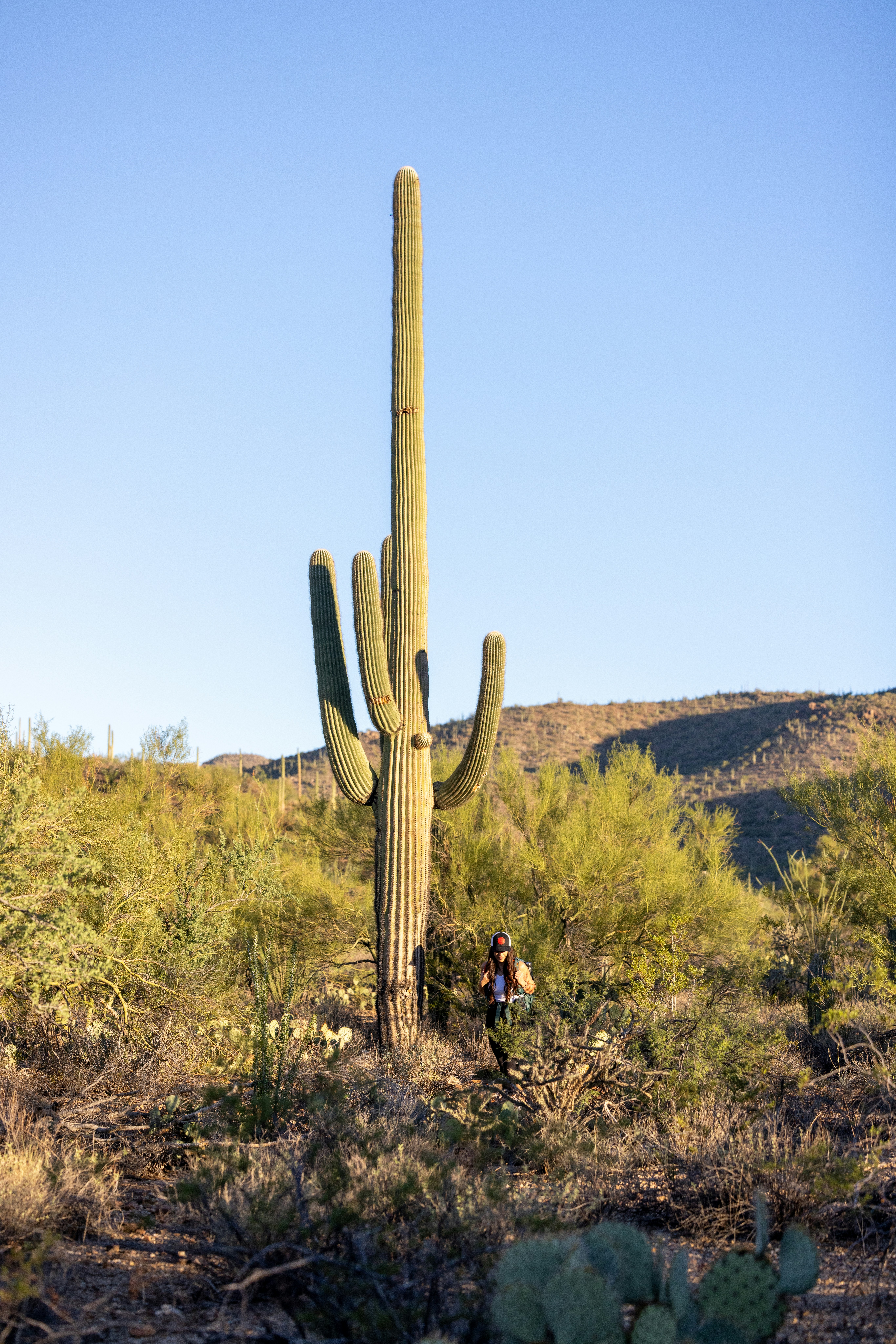 Photo by casunshine0508