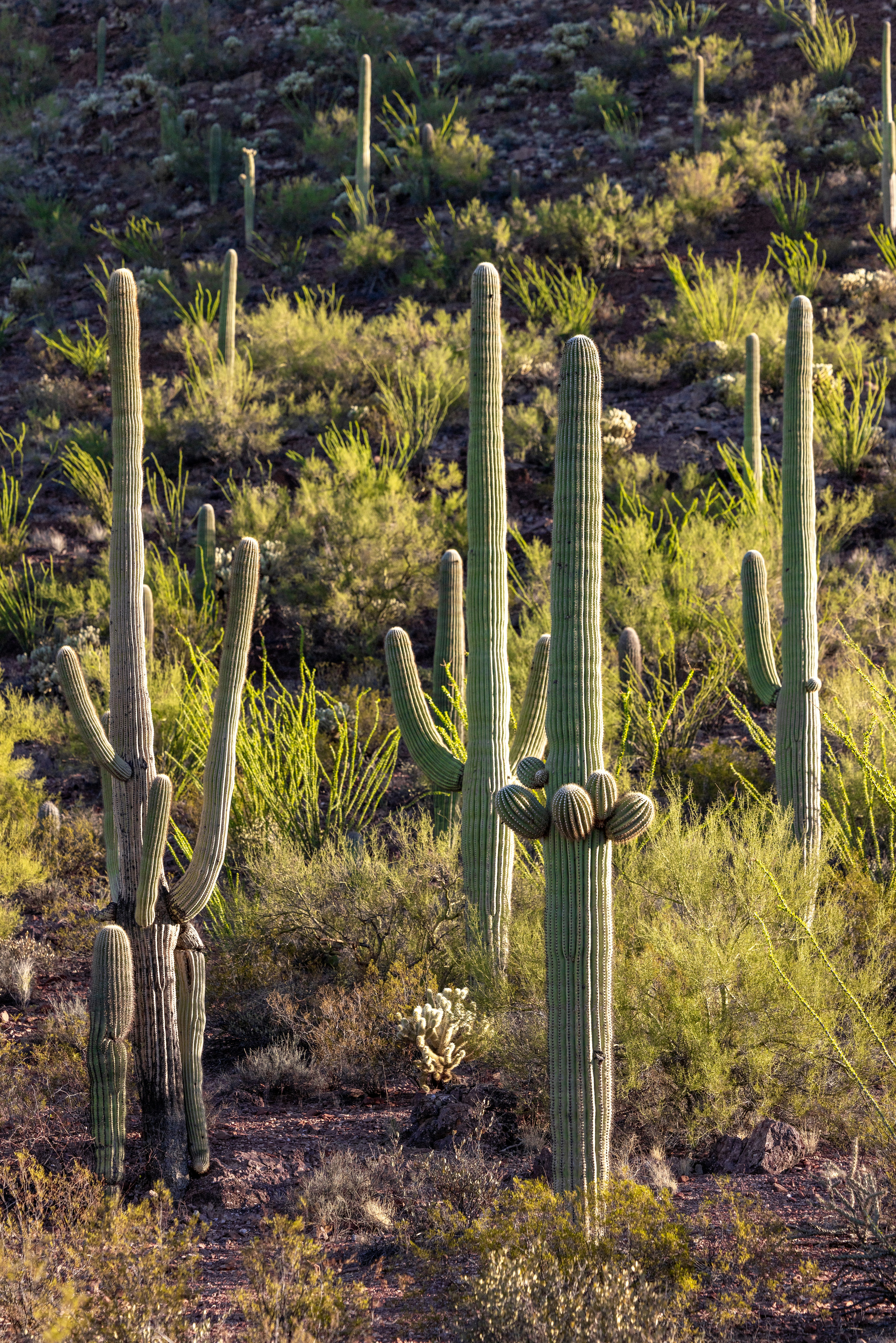 Photo by casunshine0508