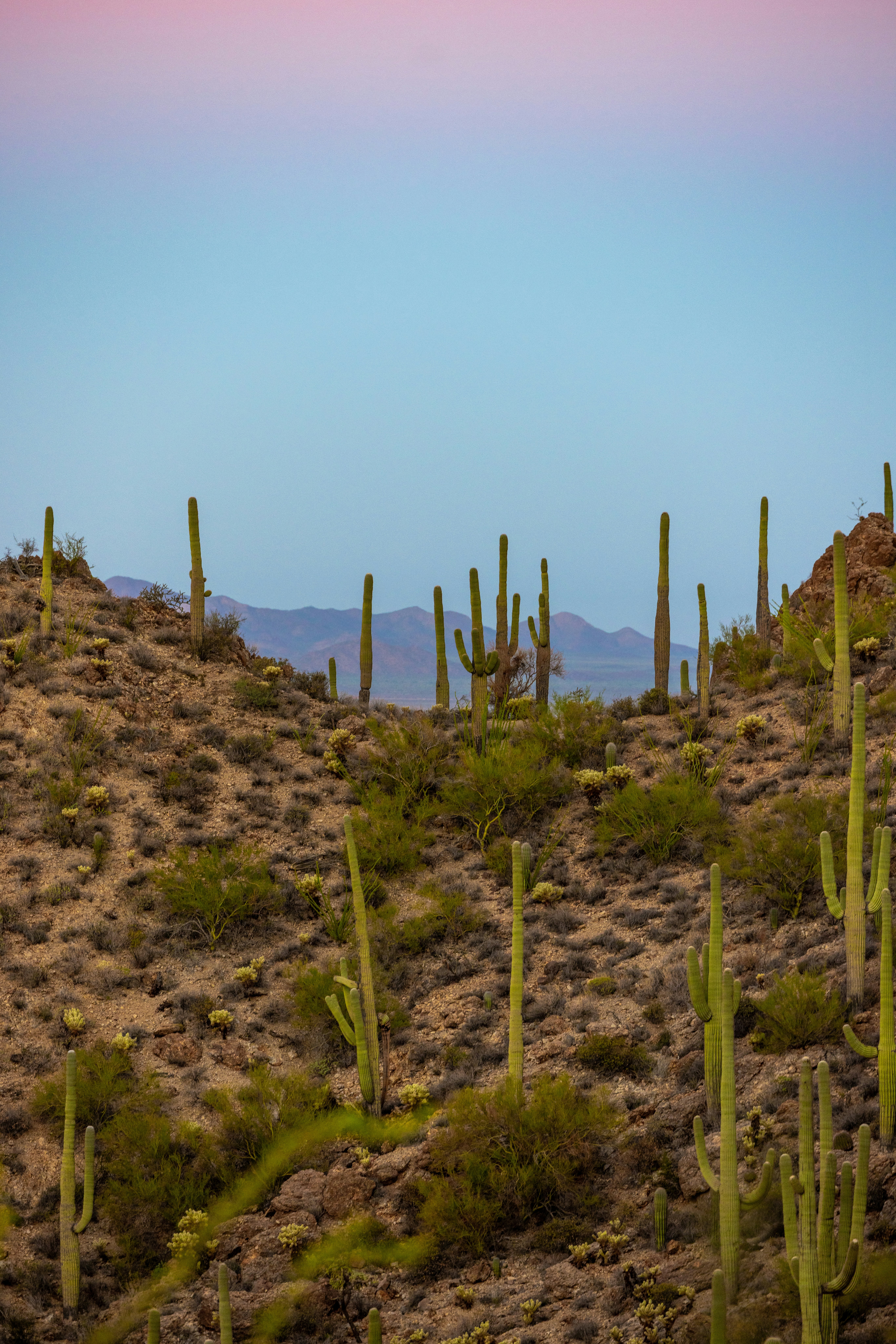 Photo by casunshine0508