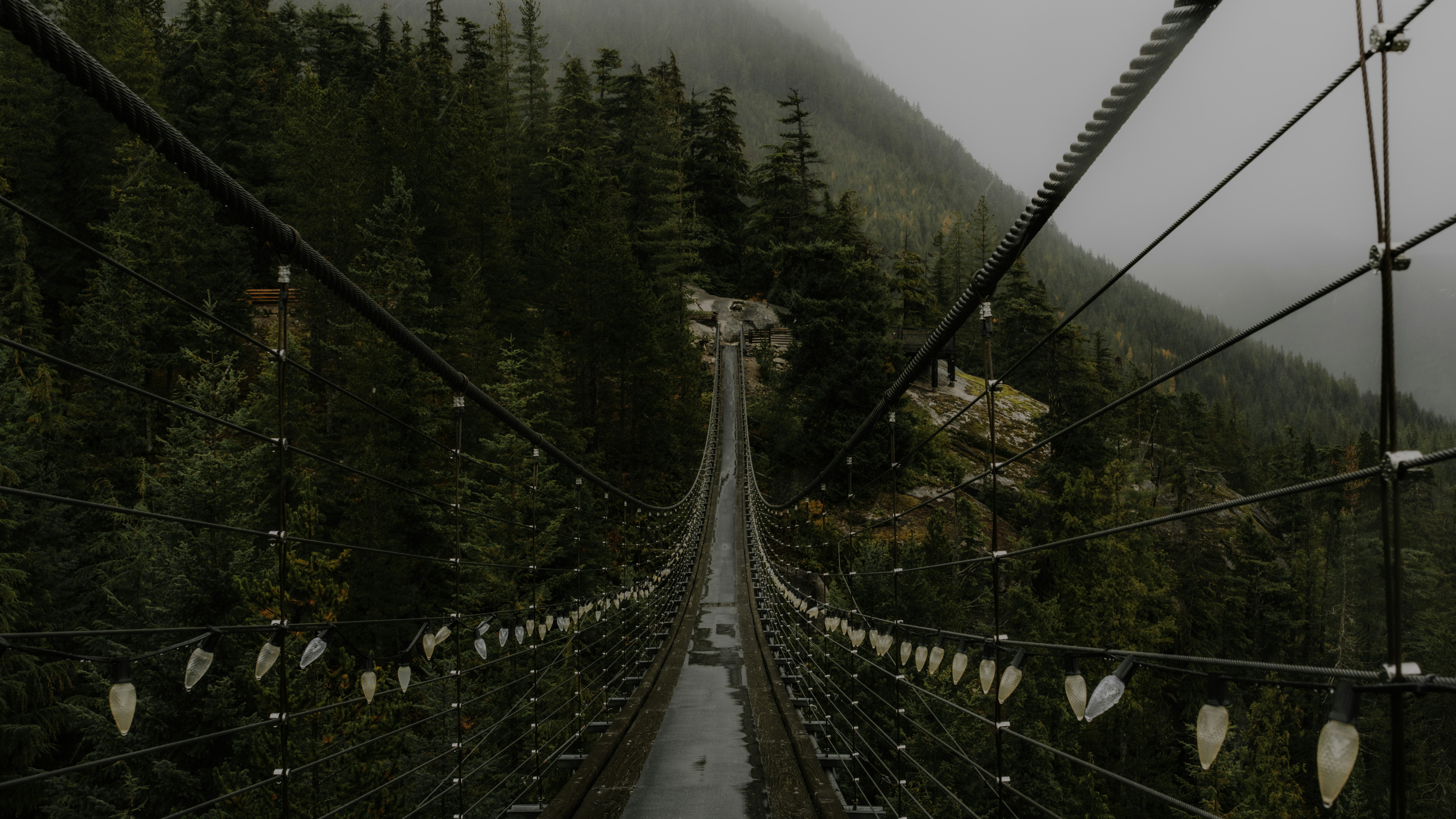 Suspension bridge over a misty, forested mountain landscape