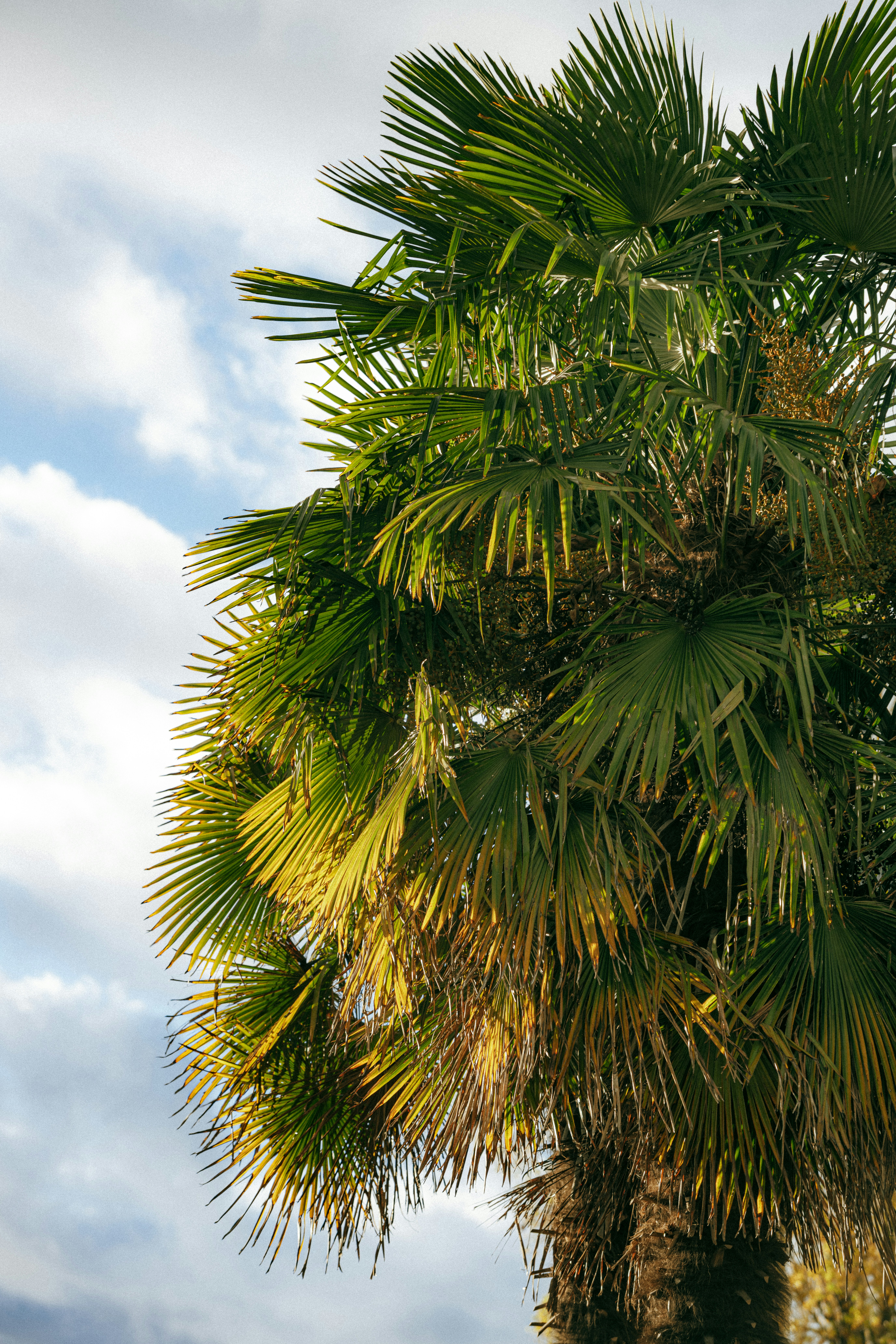 Photo by albertstoynov