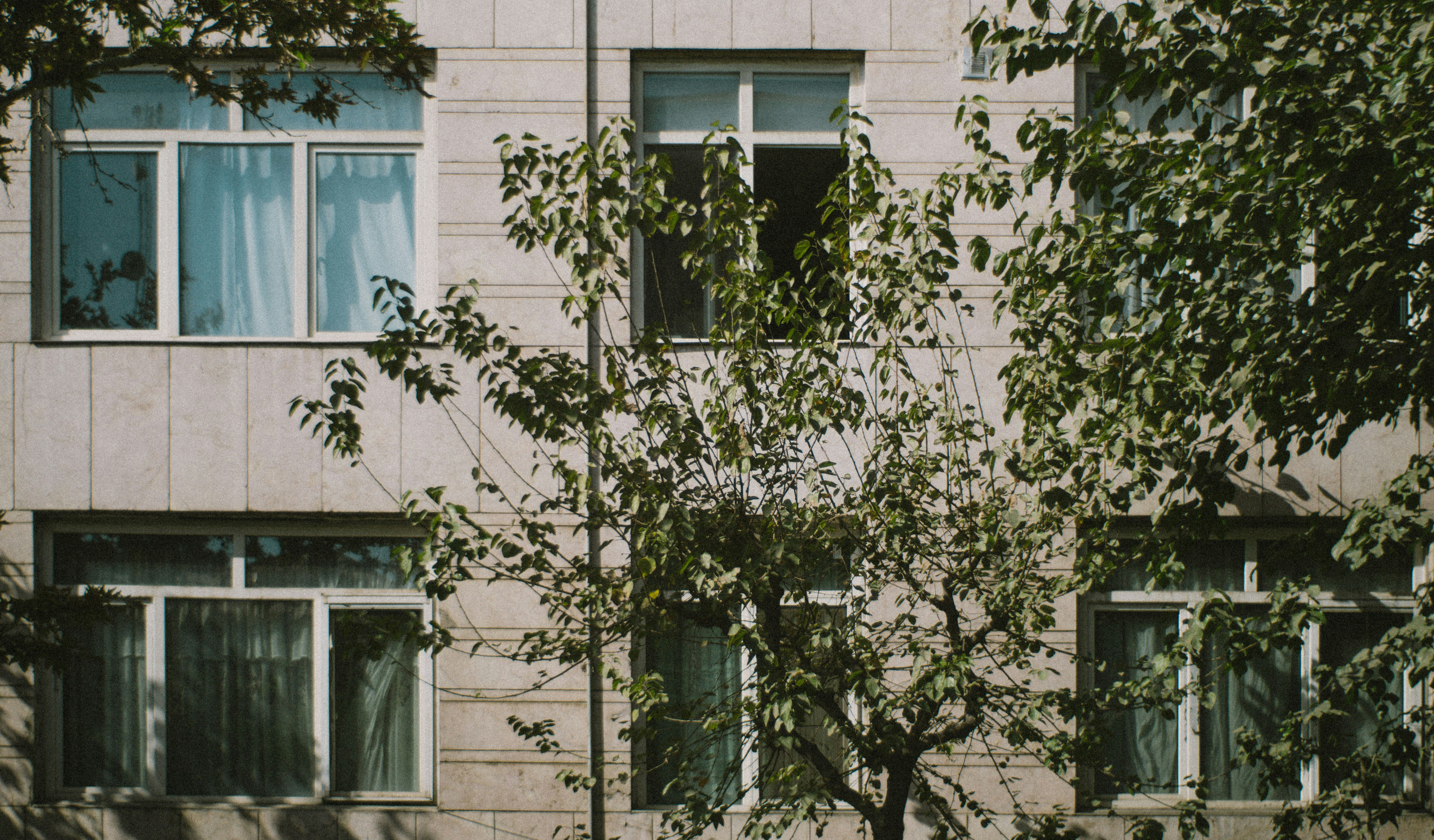 Photo by mdrezajalali