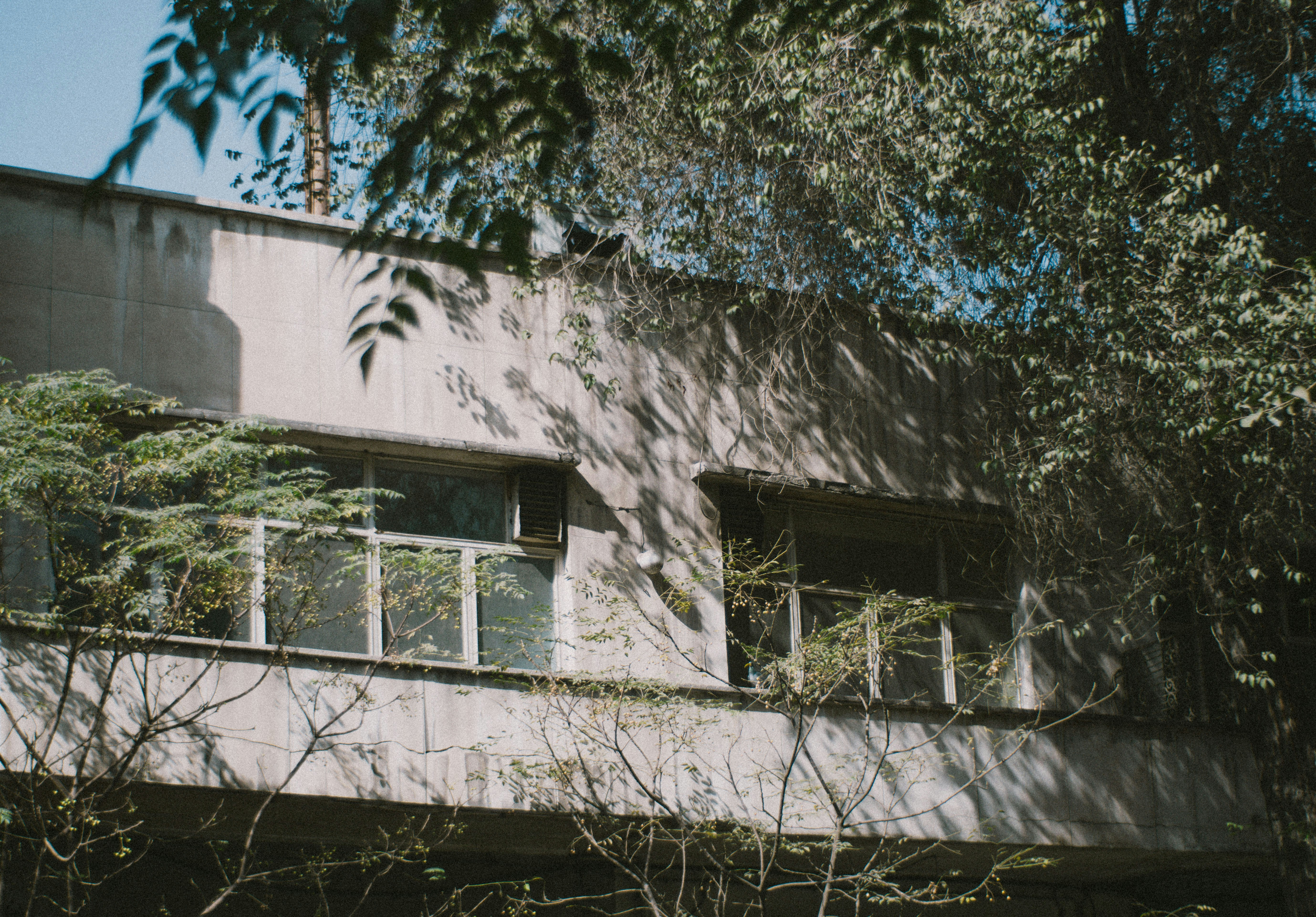 Photo by mdrezajalali