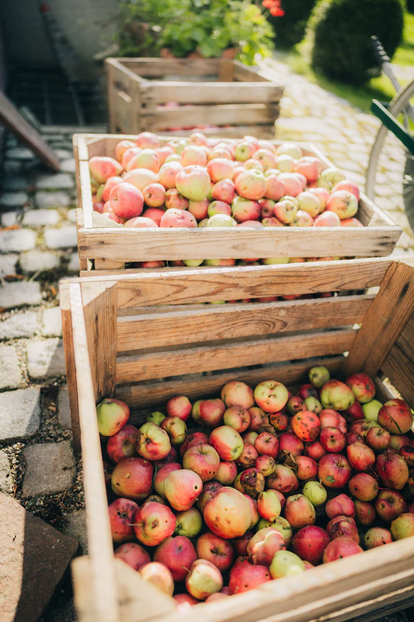 Wooden crates full of red and green apples