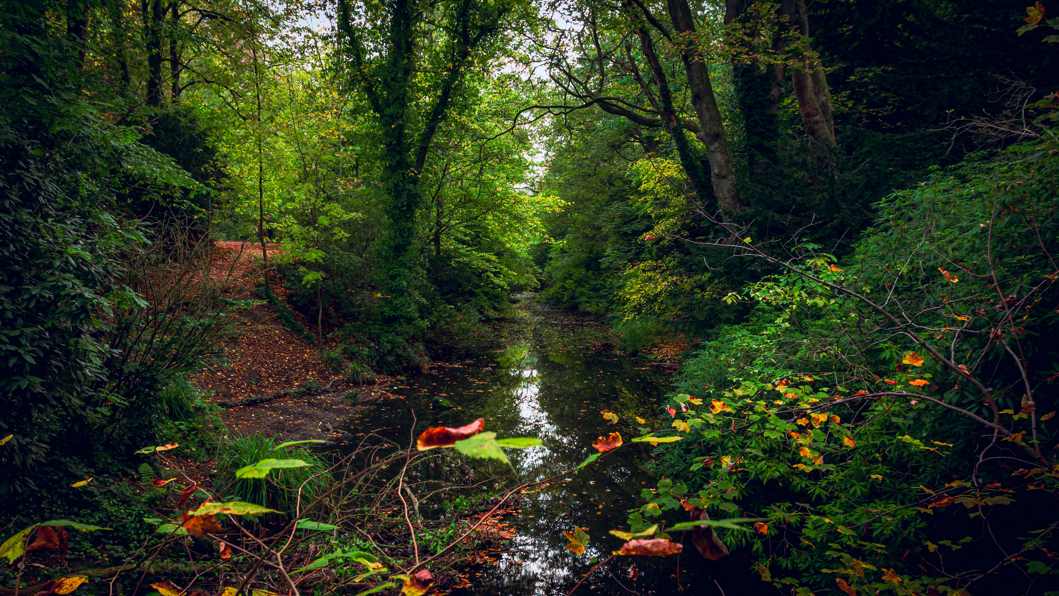 Photo by mlcphotography88