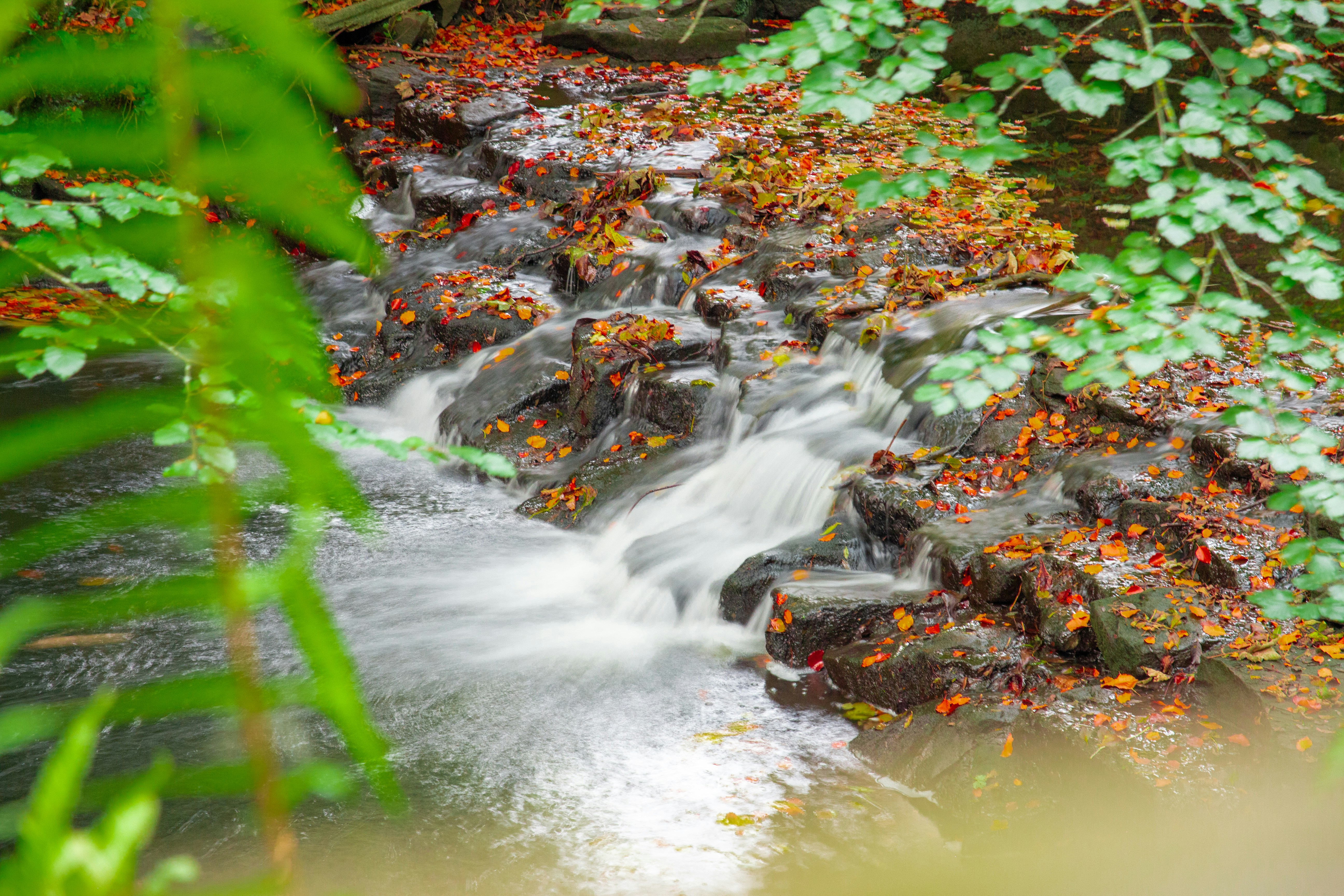 A small waterfall flows over rocks with autumn leaves.