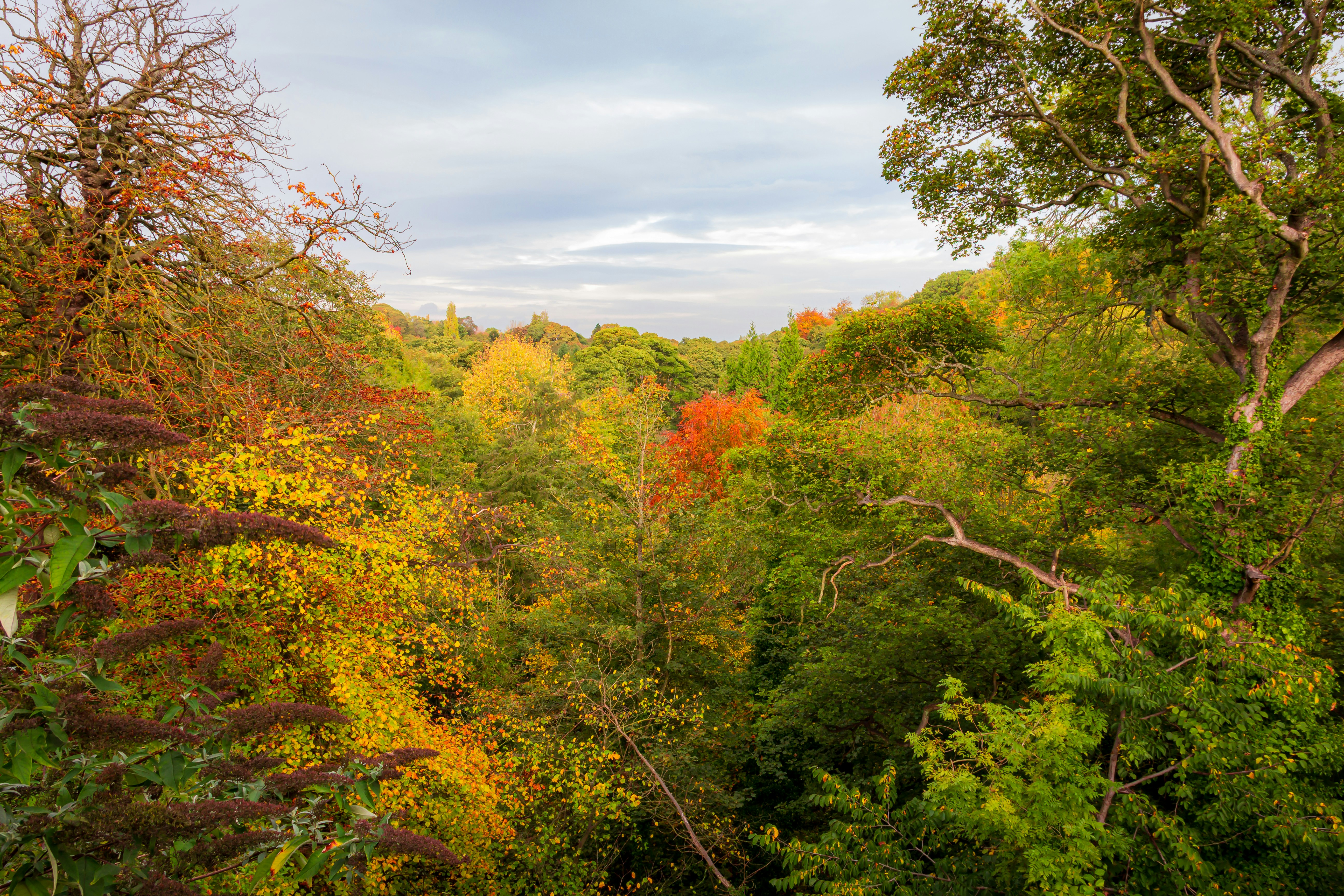 Photo by mlcphotography88