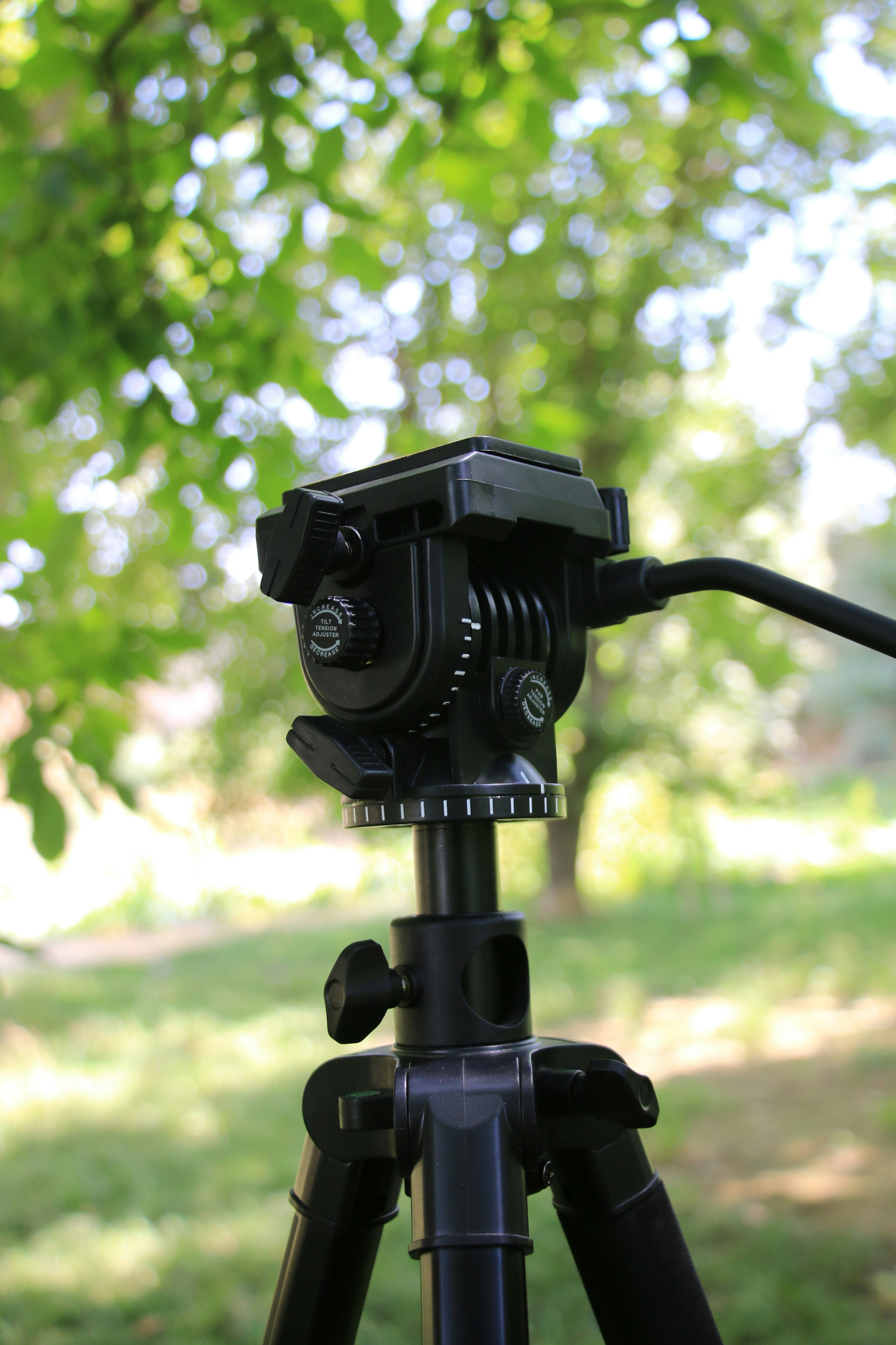 Tripod Stand