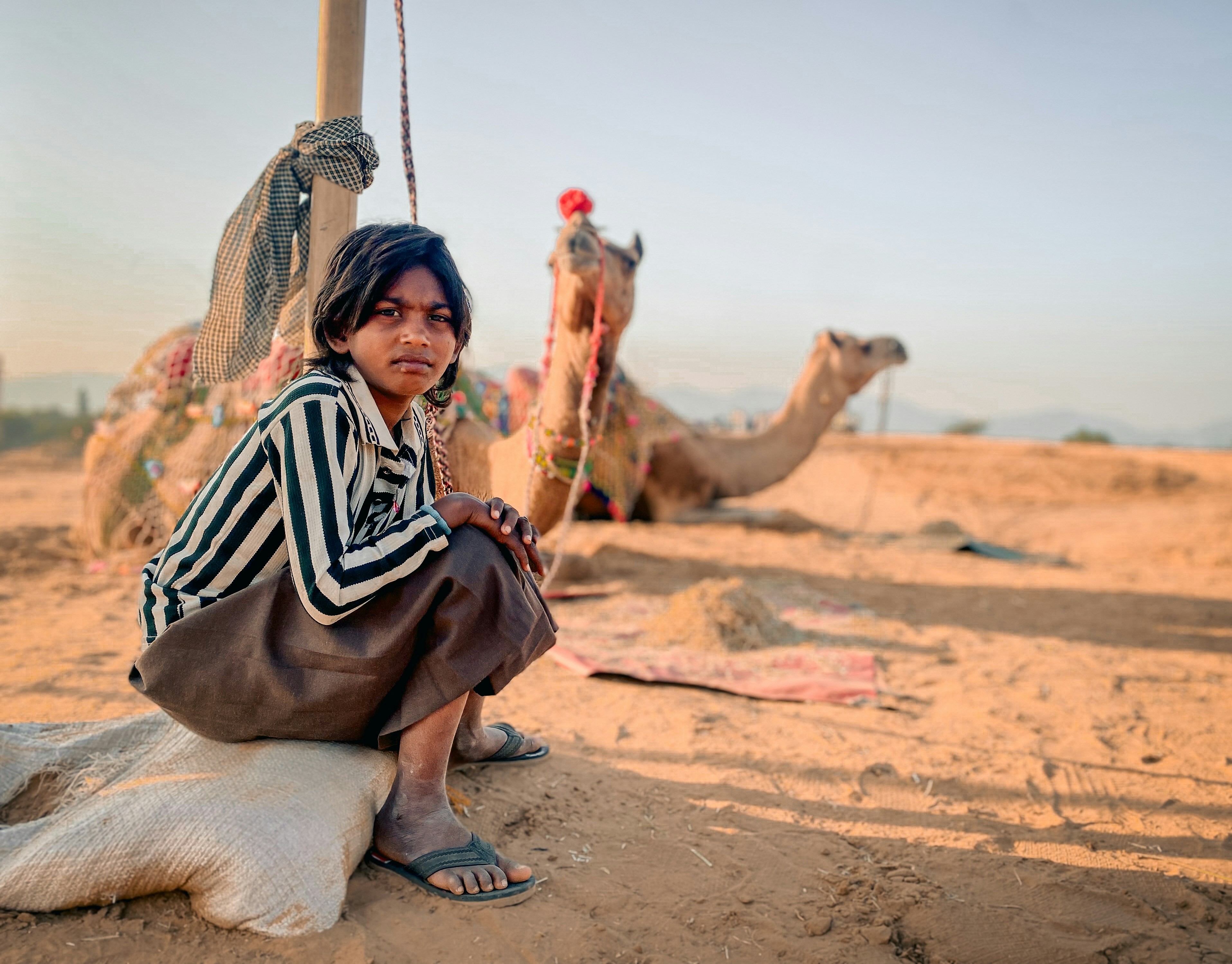 Young boy with camels in desert landscape