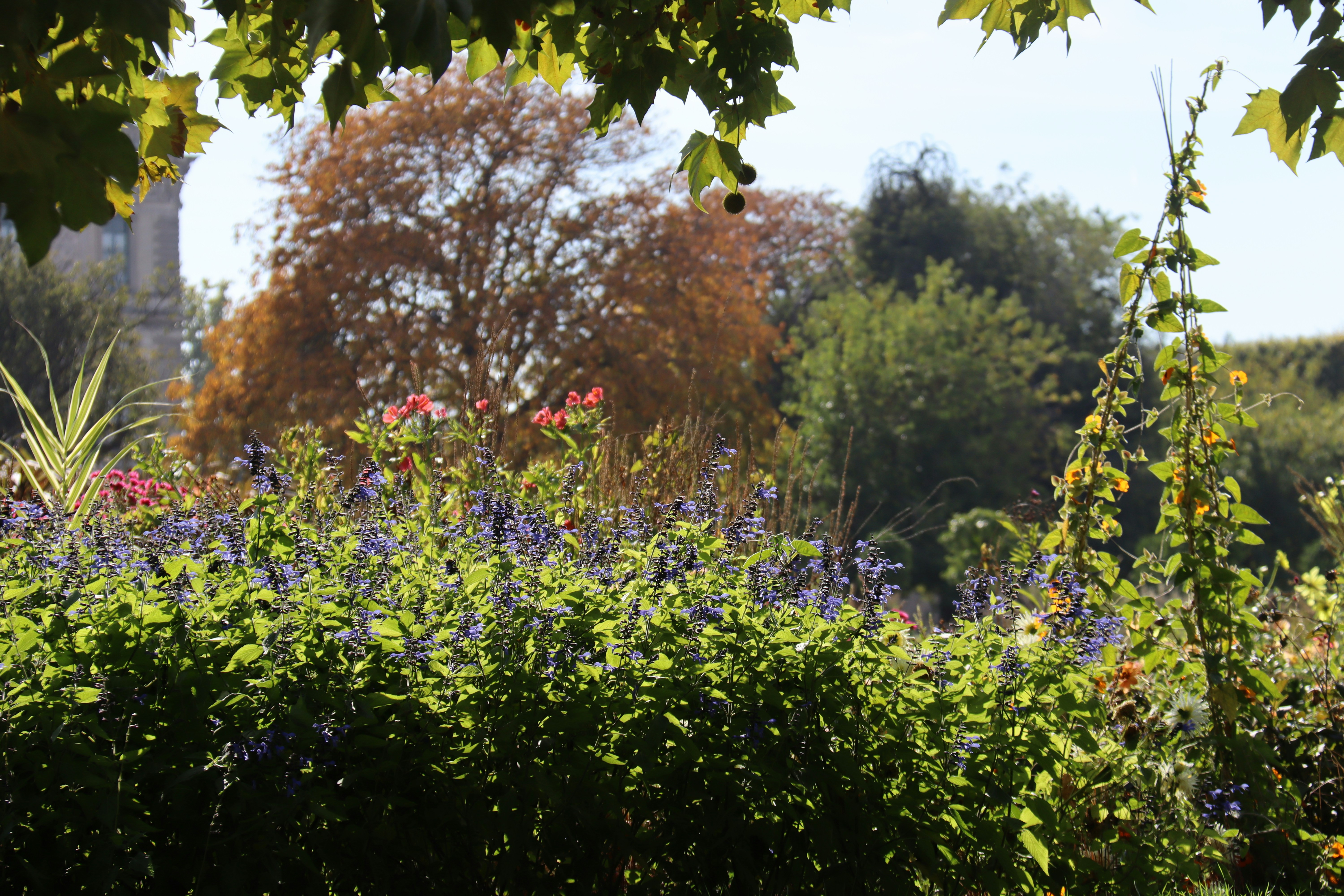 Photo by shalevcohen