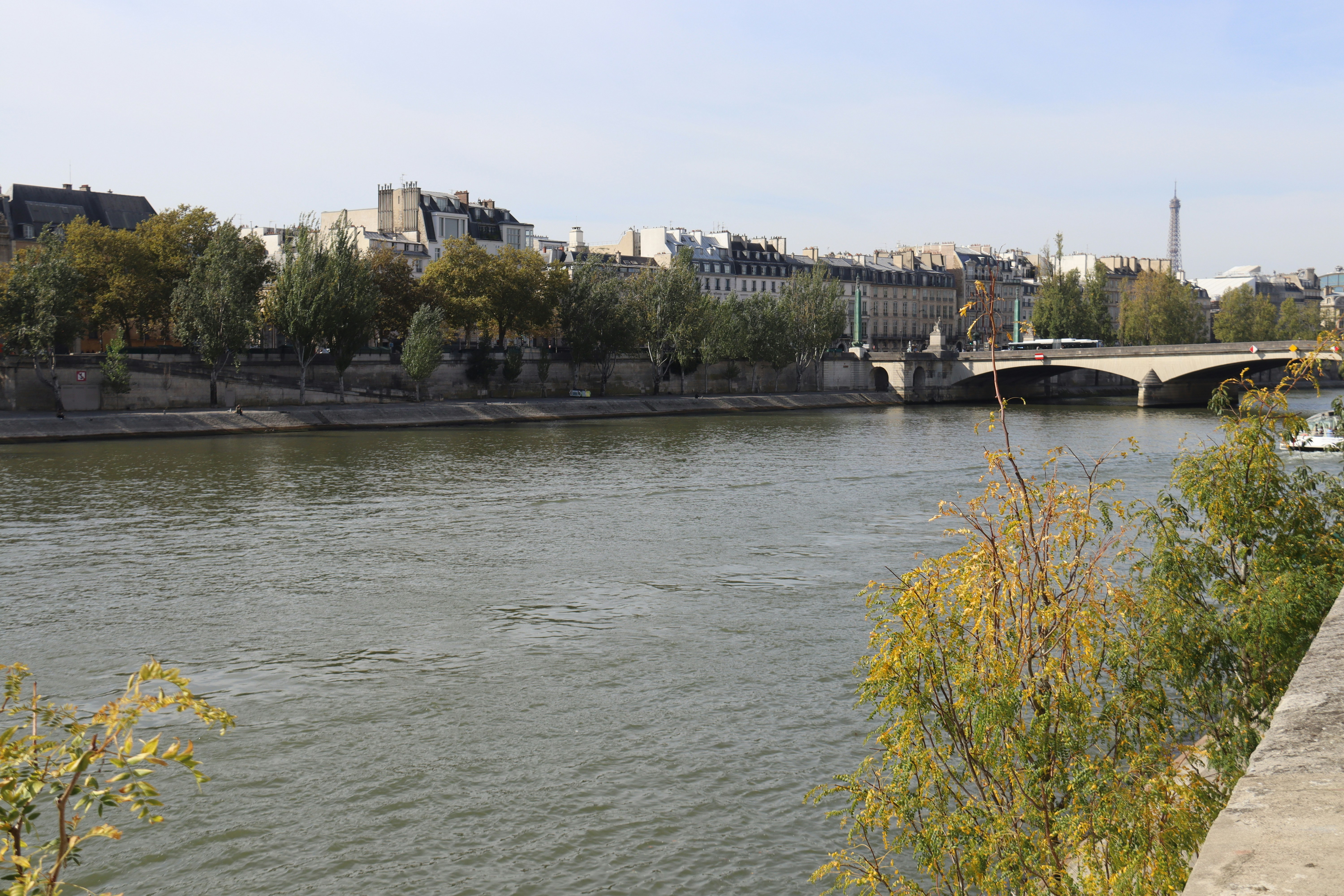 Photo by shalevcohen