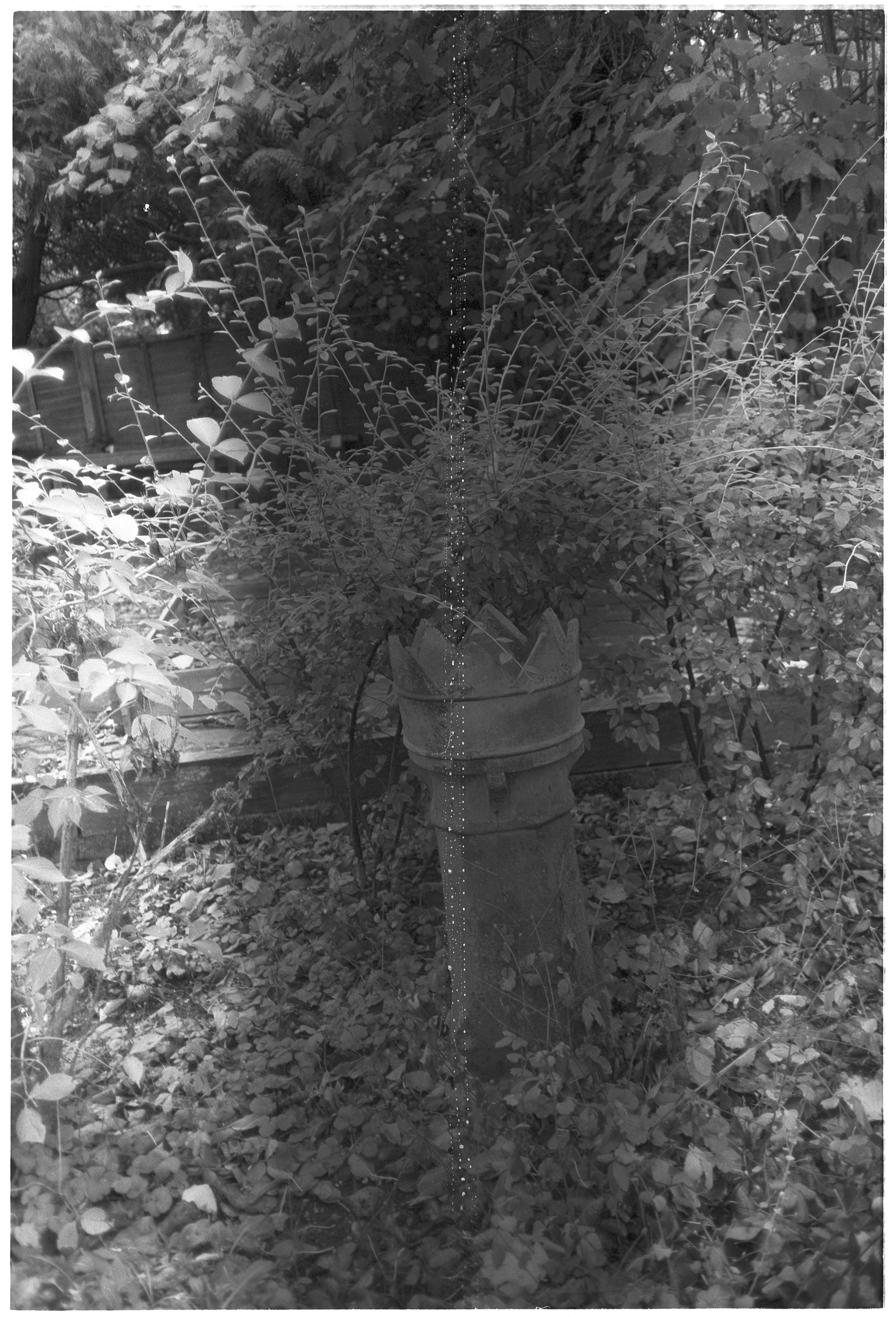 Photo by tanyabarrow