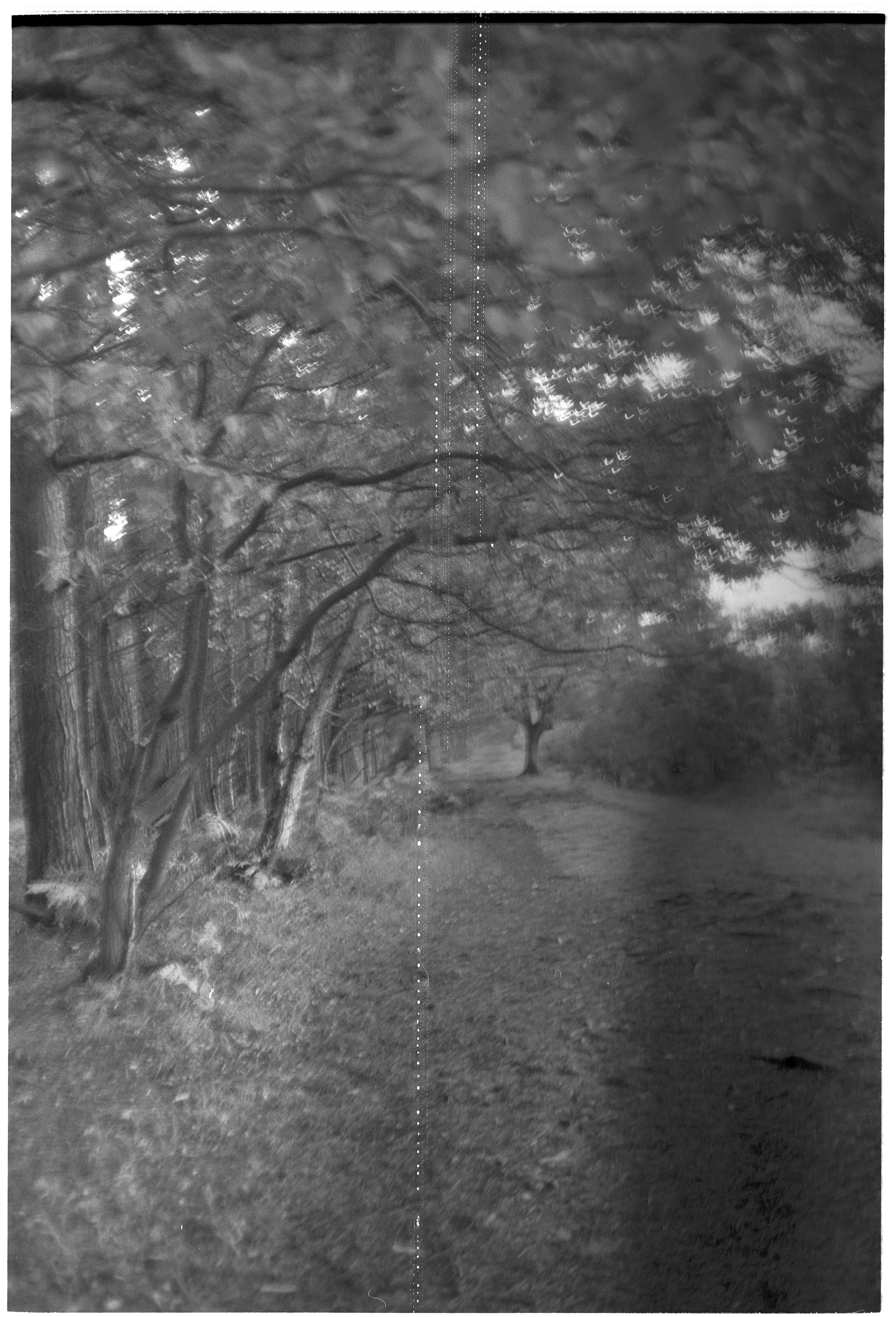 Photo by tanyabarrow