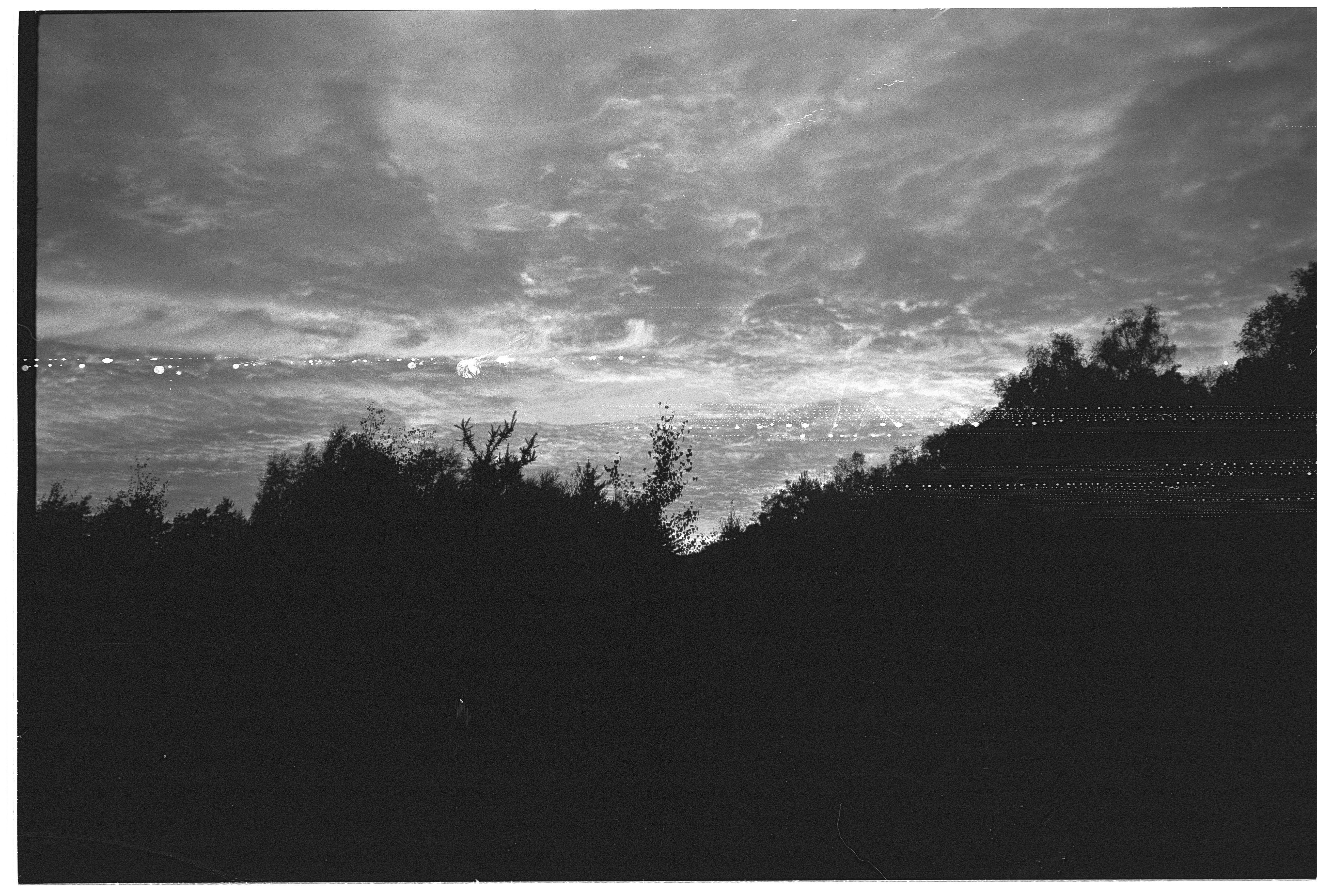 Photo by tanyabarrow