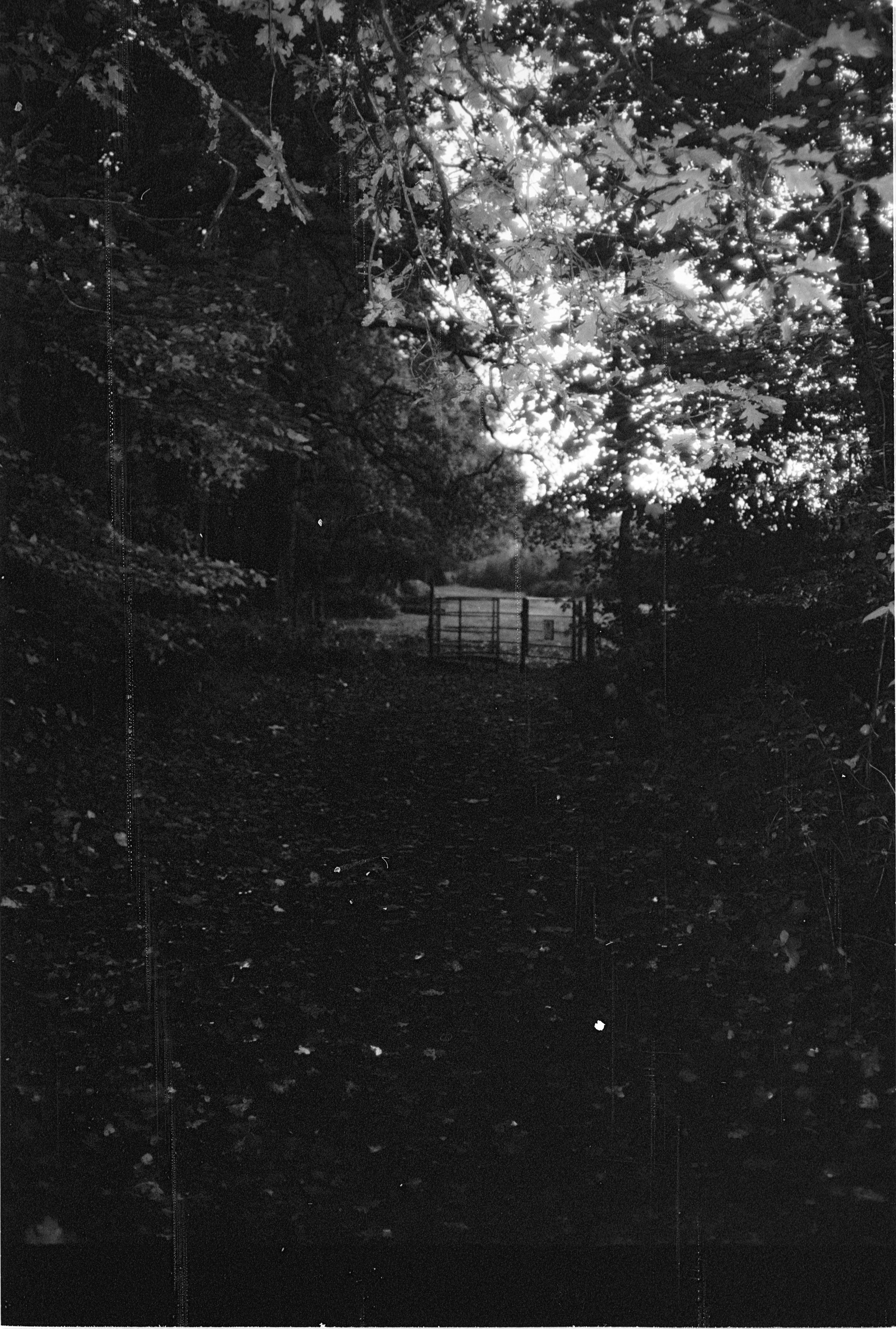 Photo by tanyabarrow