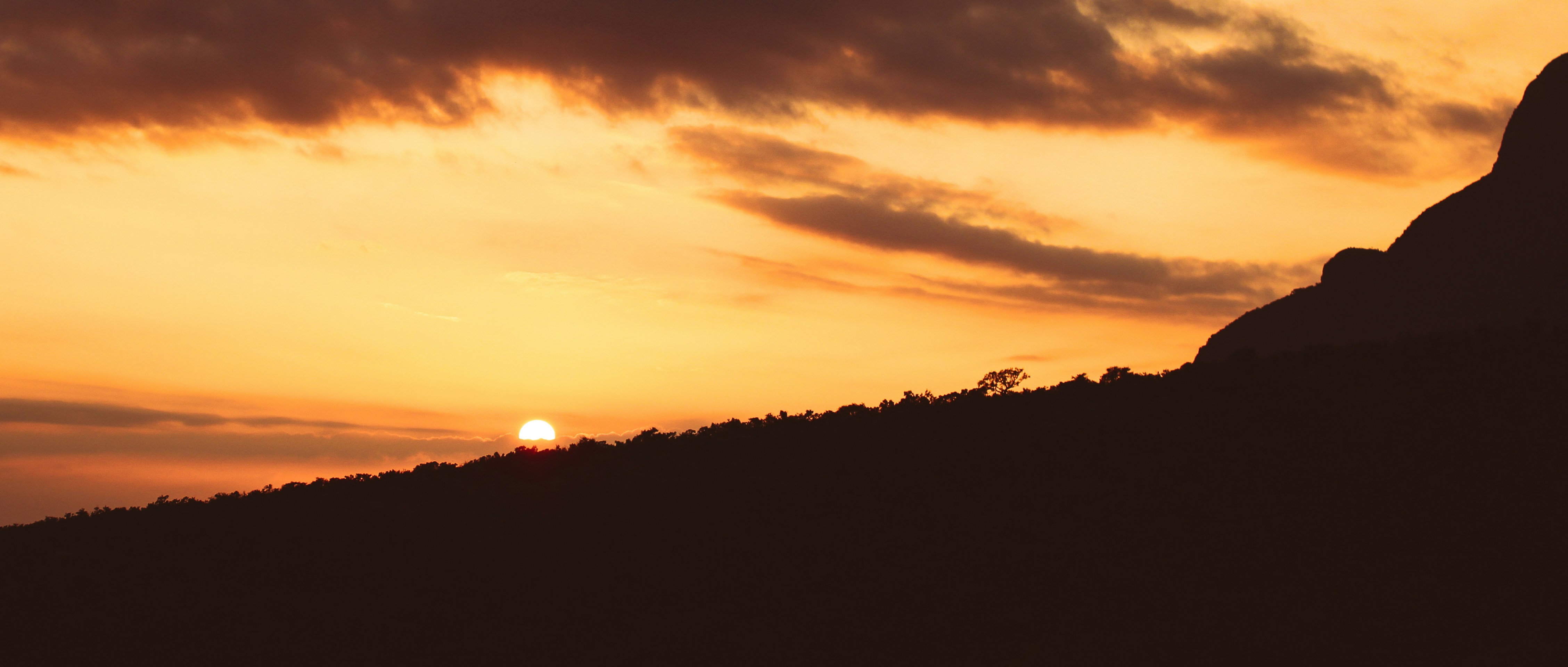 Photo by willcorrigan06