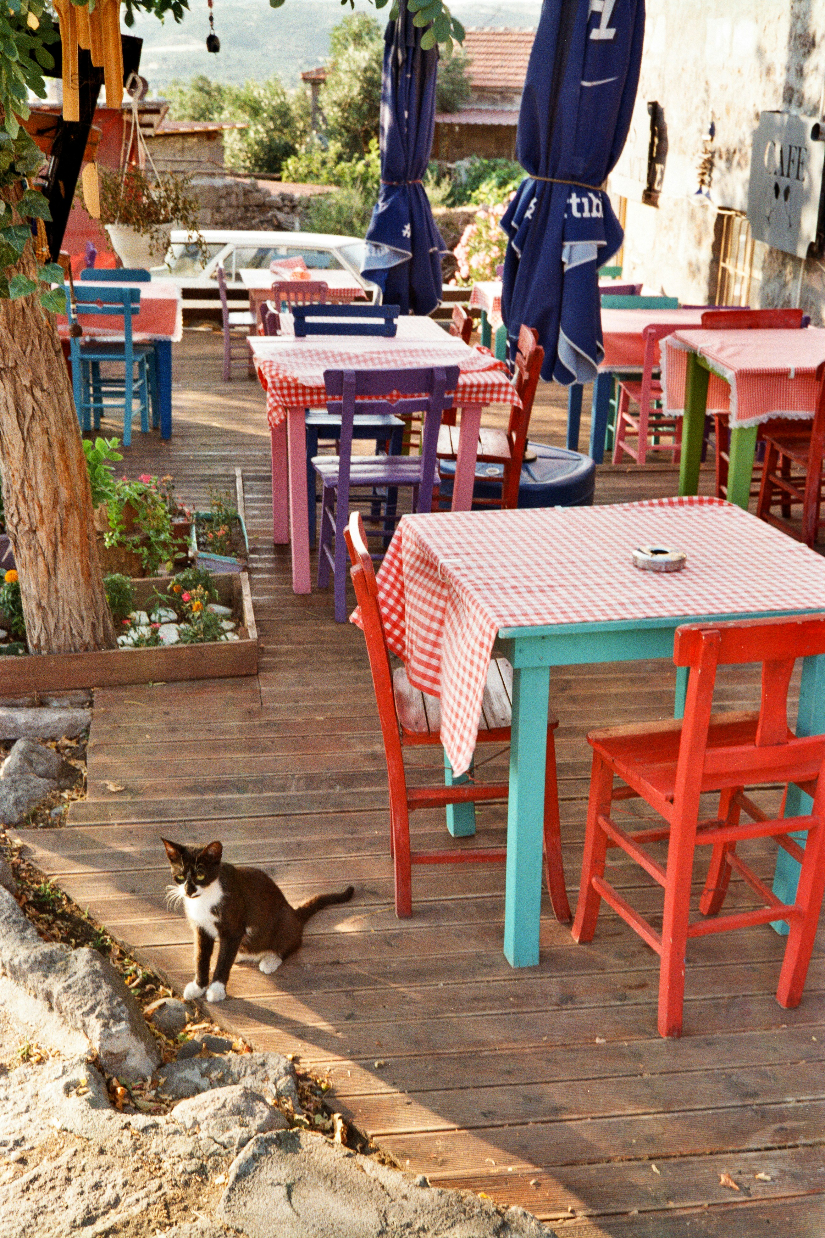 Hands-On Review: Ember & Ash — A Hearth-Forward Tasting Menu for the Slow Traveler (2026)