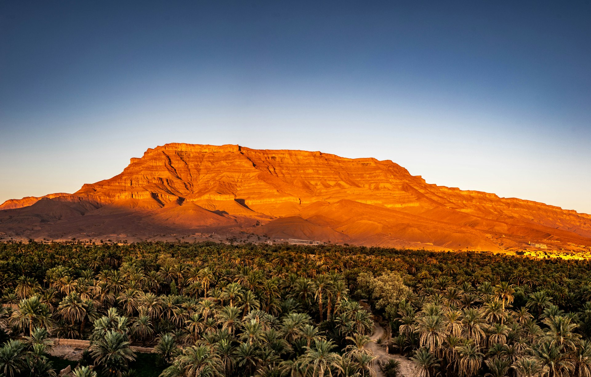Paysage marocain avec palmiers au coucher de soleil