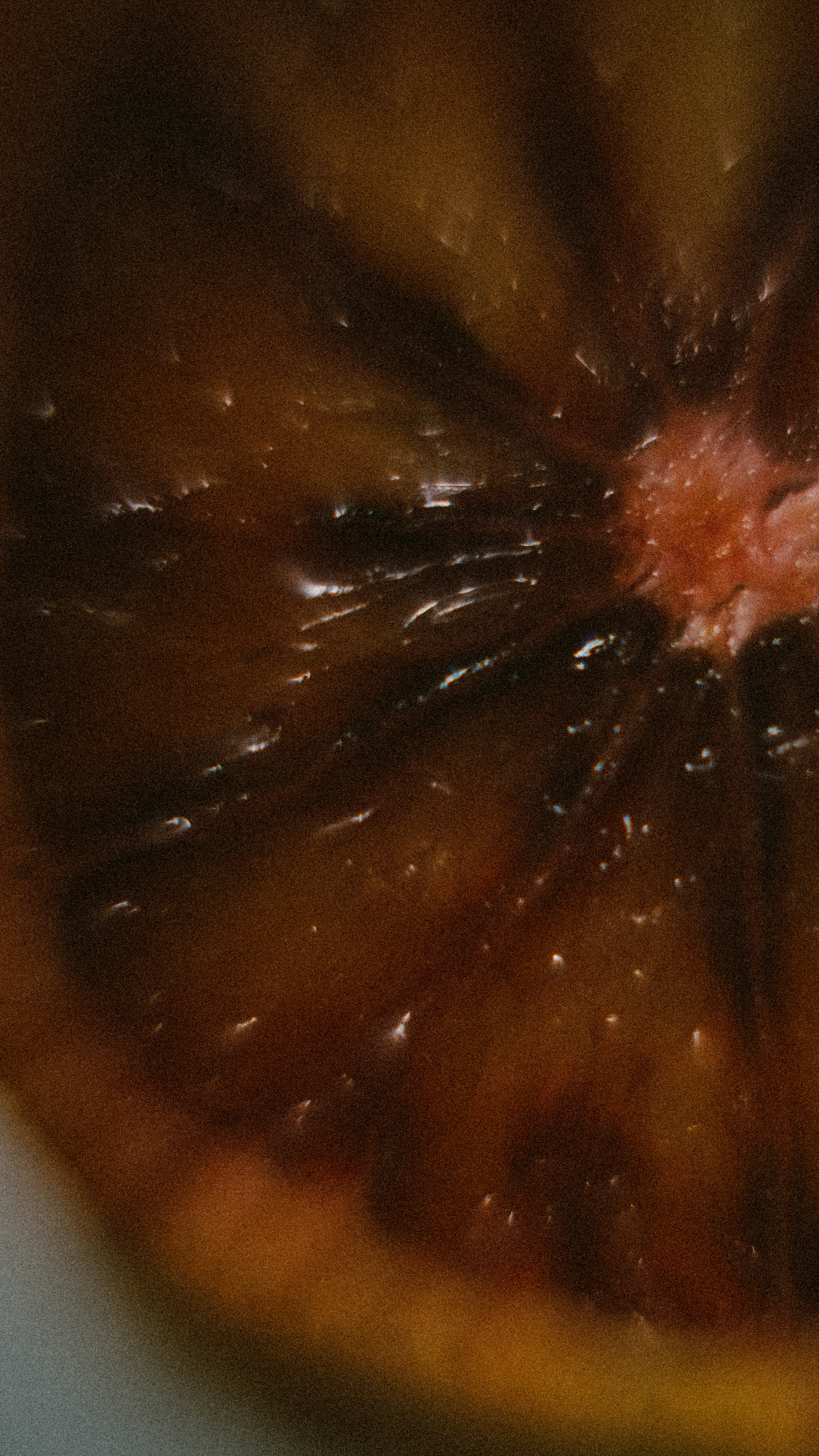 Close-up of a blood orange slice with dark red flesh.