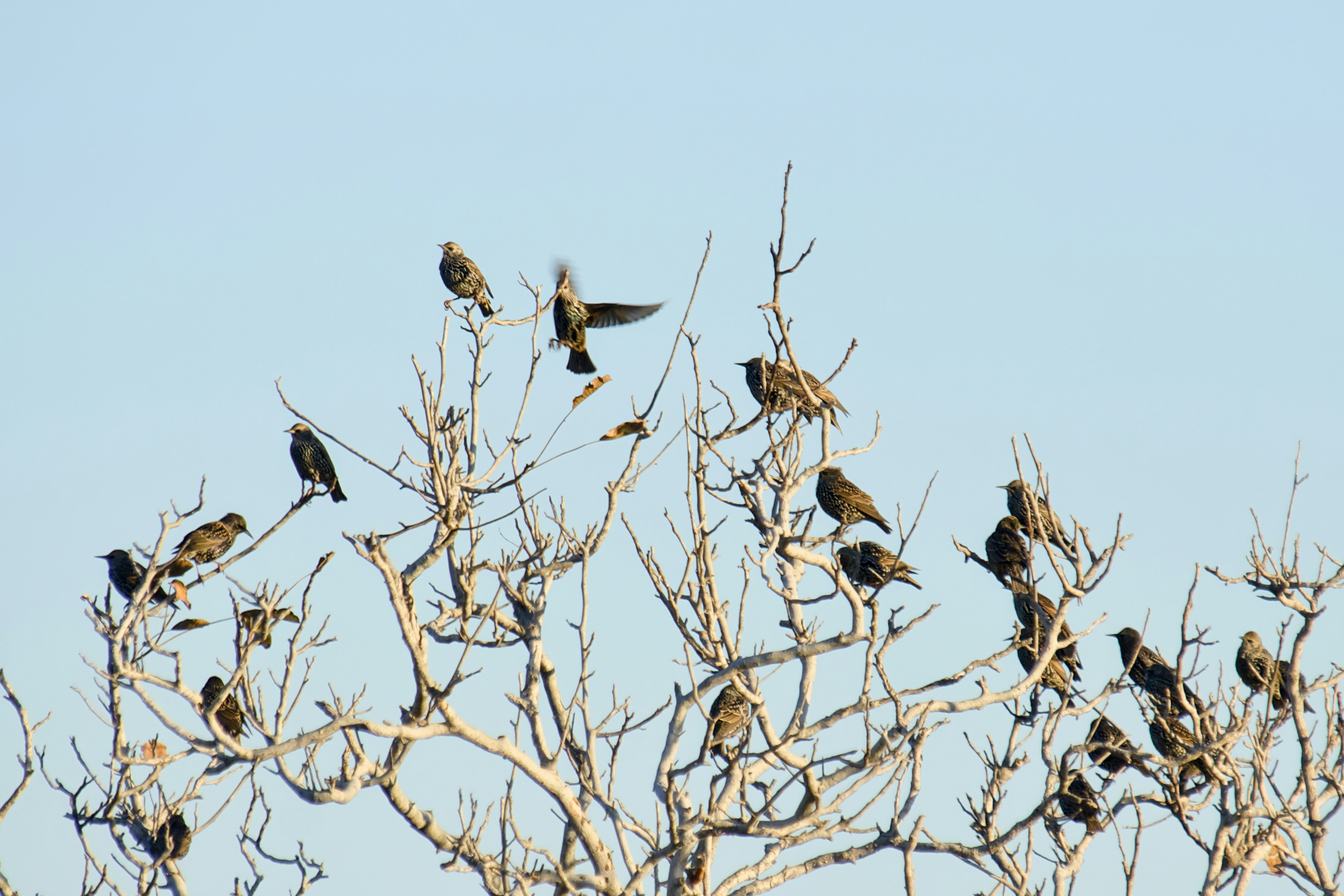 Photo by mariobeducci