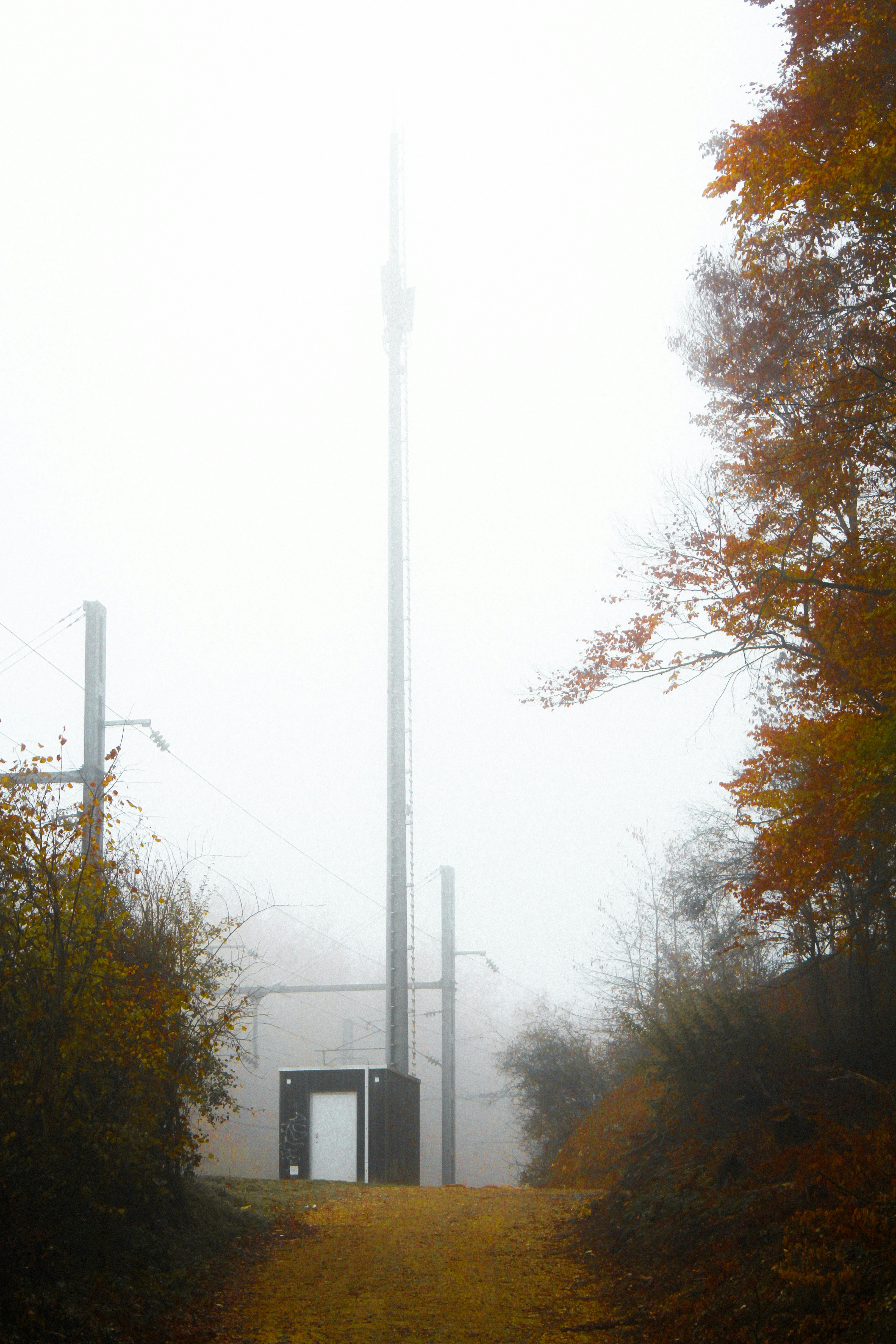 Tall tower in fog with autumn trees