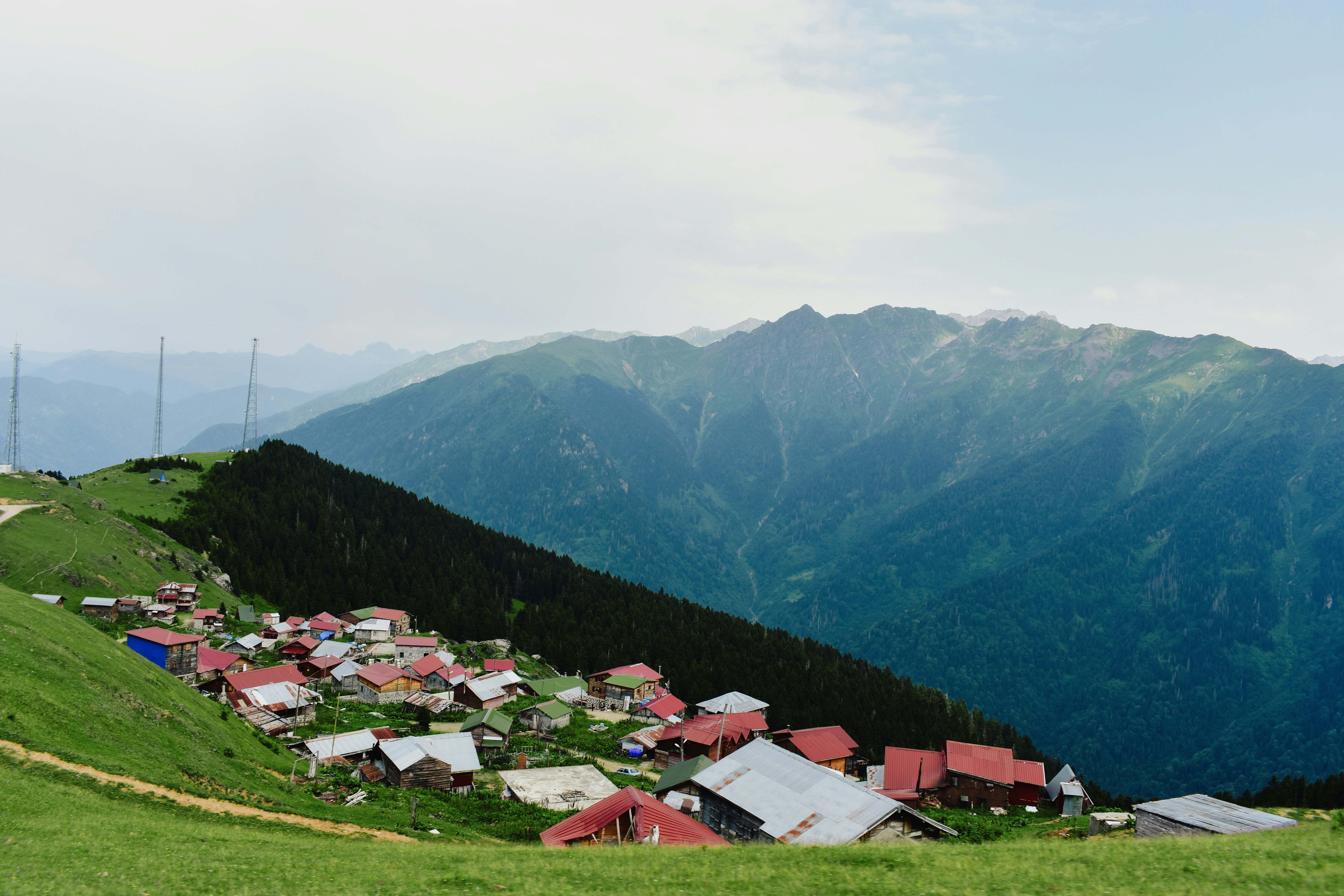 Photo by nisacokokumus