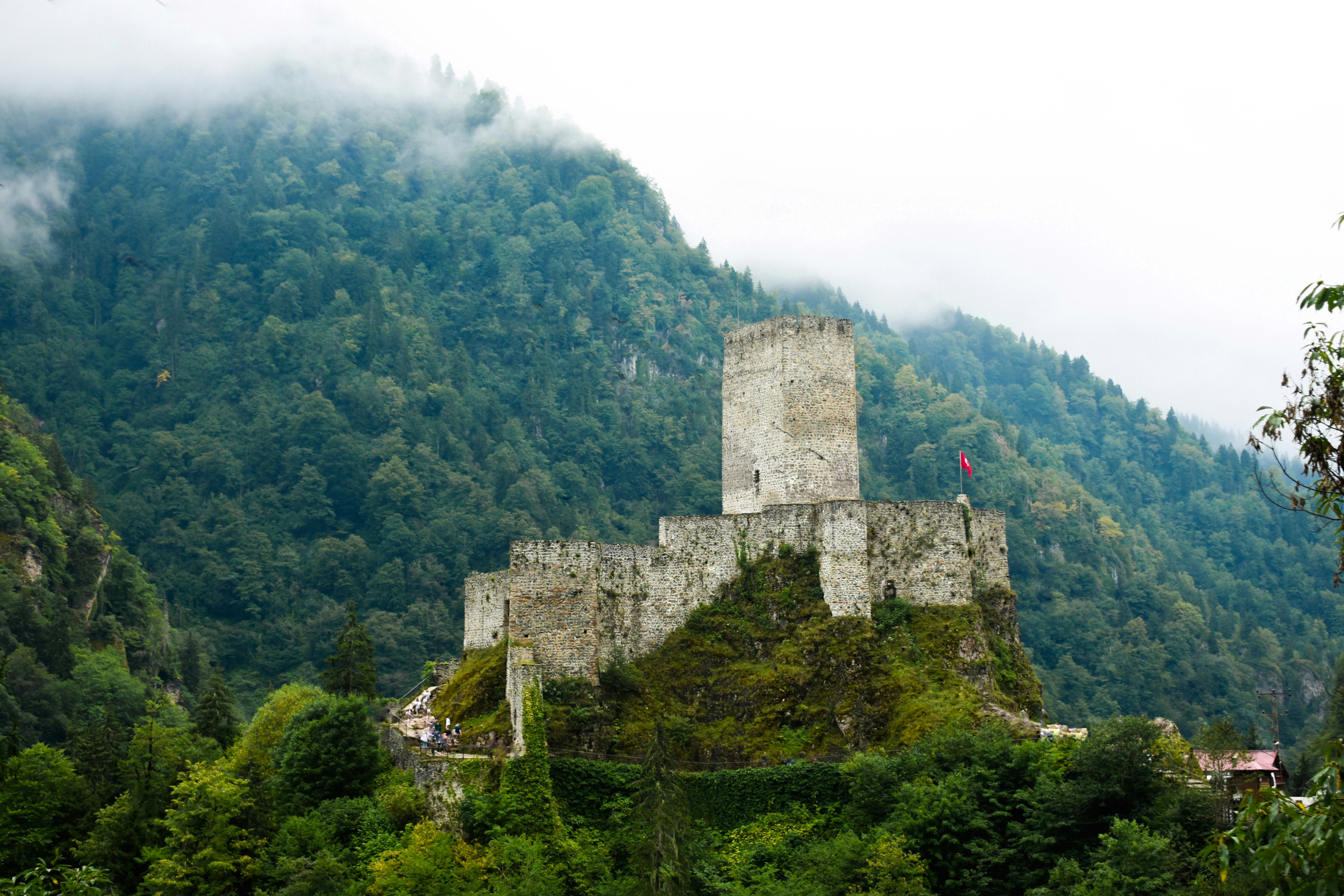 Photo by nisacokokumus