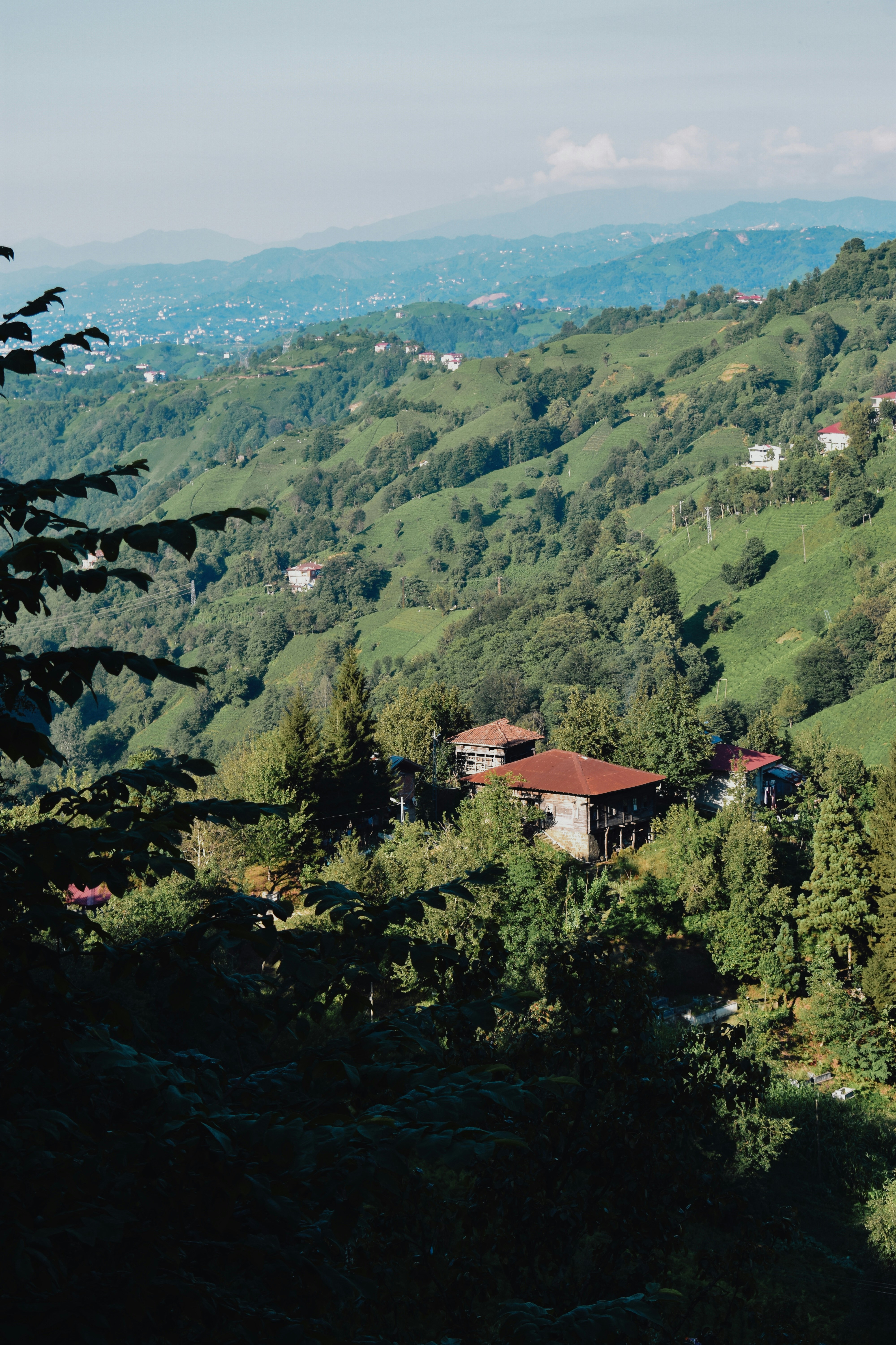 Photo by nisacokokumus