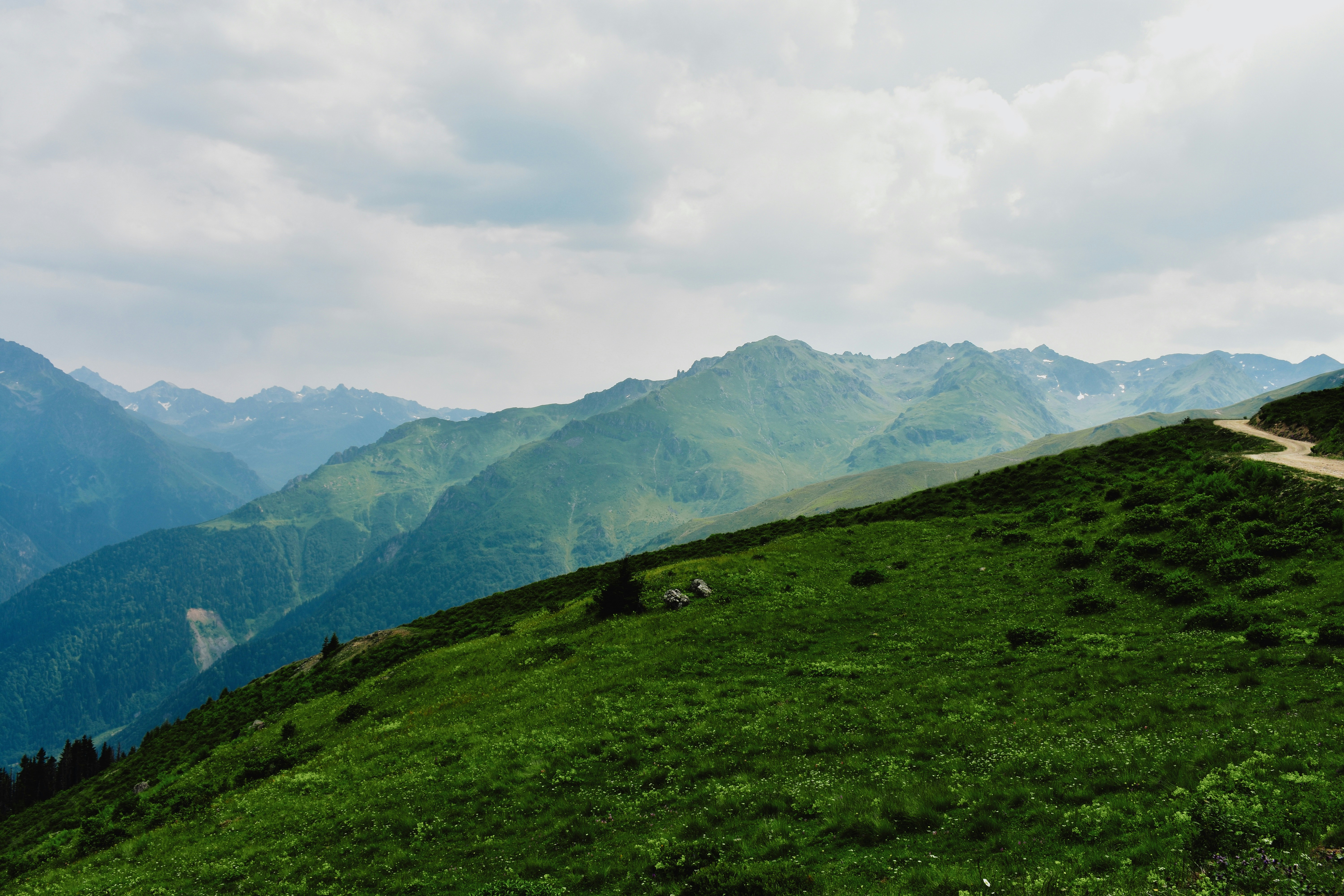 Photo by nisacokokumus