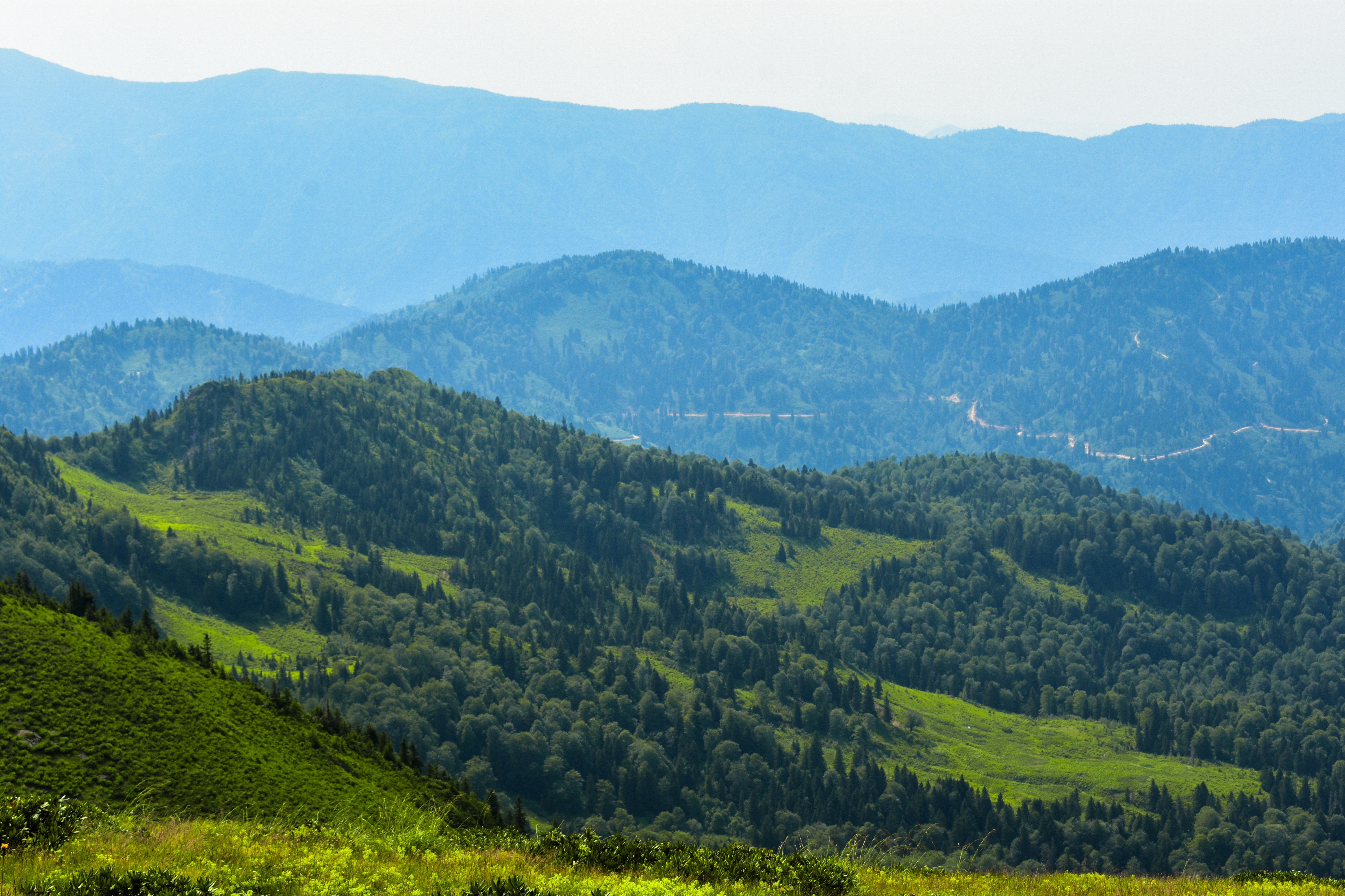 Photo by nisacokokumus