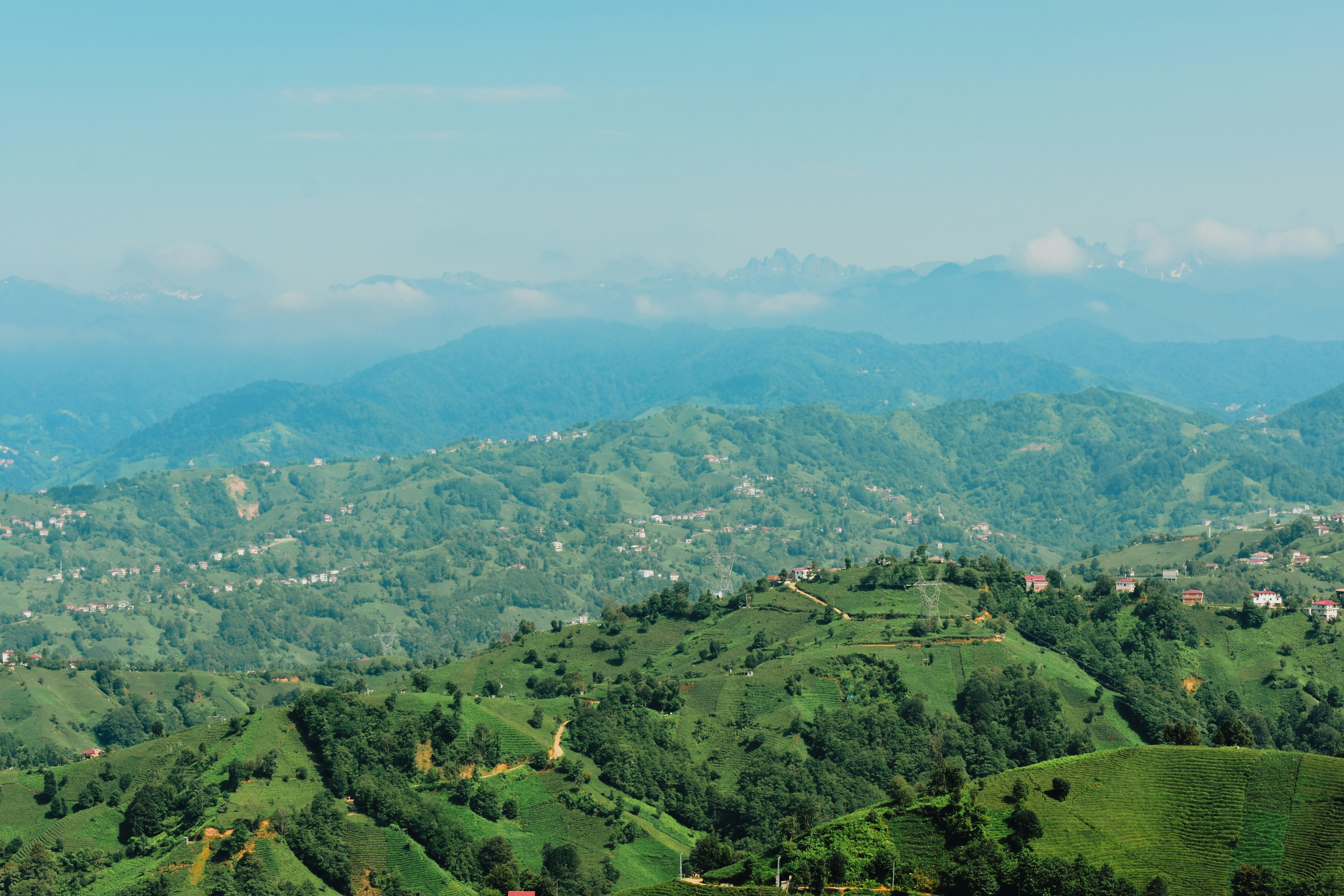 Photo by nisacokokumus