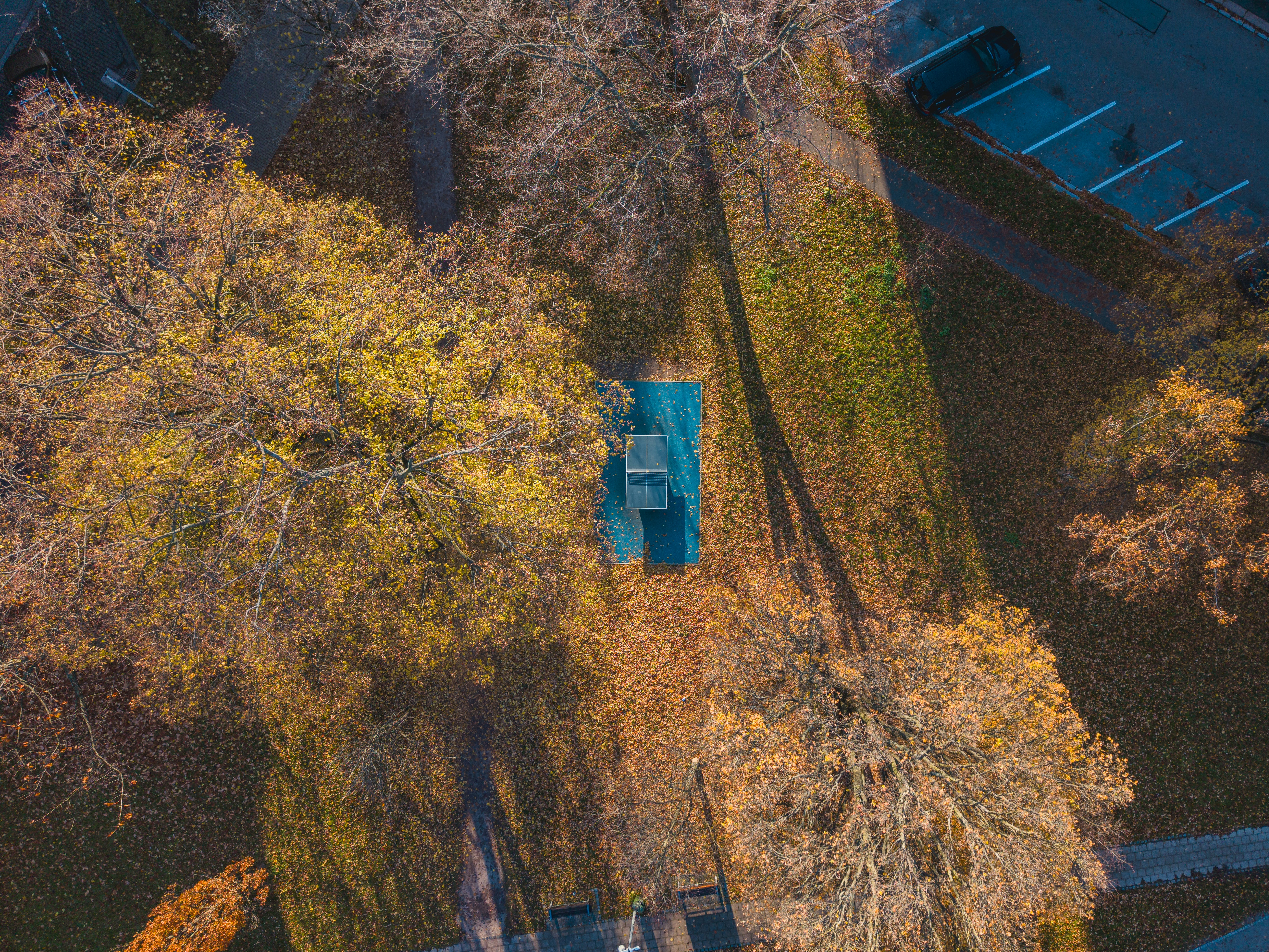 Photo by vitlustinec