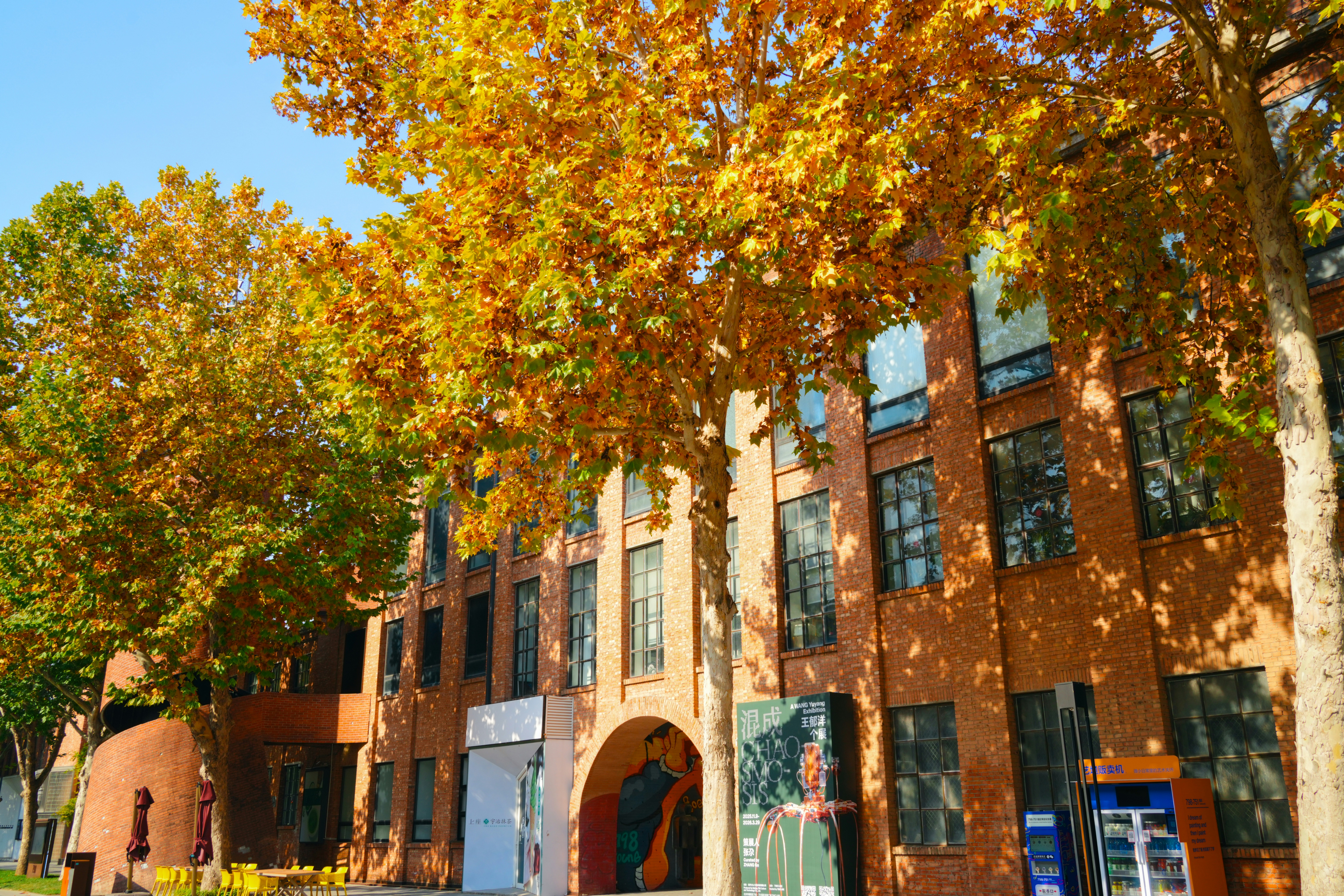 Photo by hattrick1996