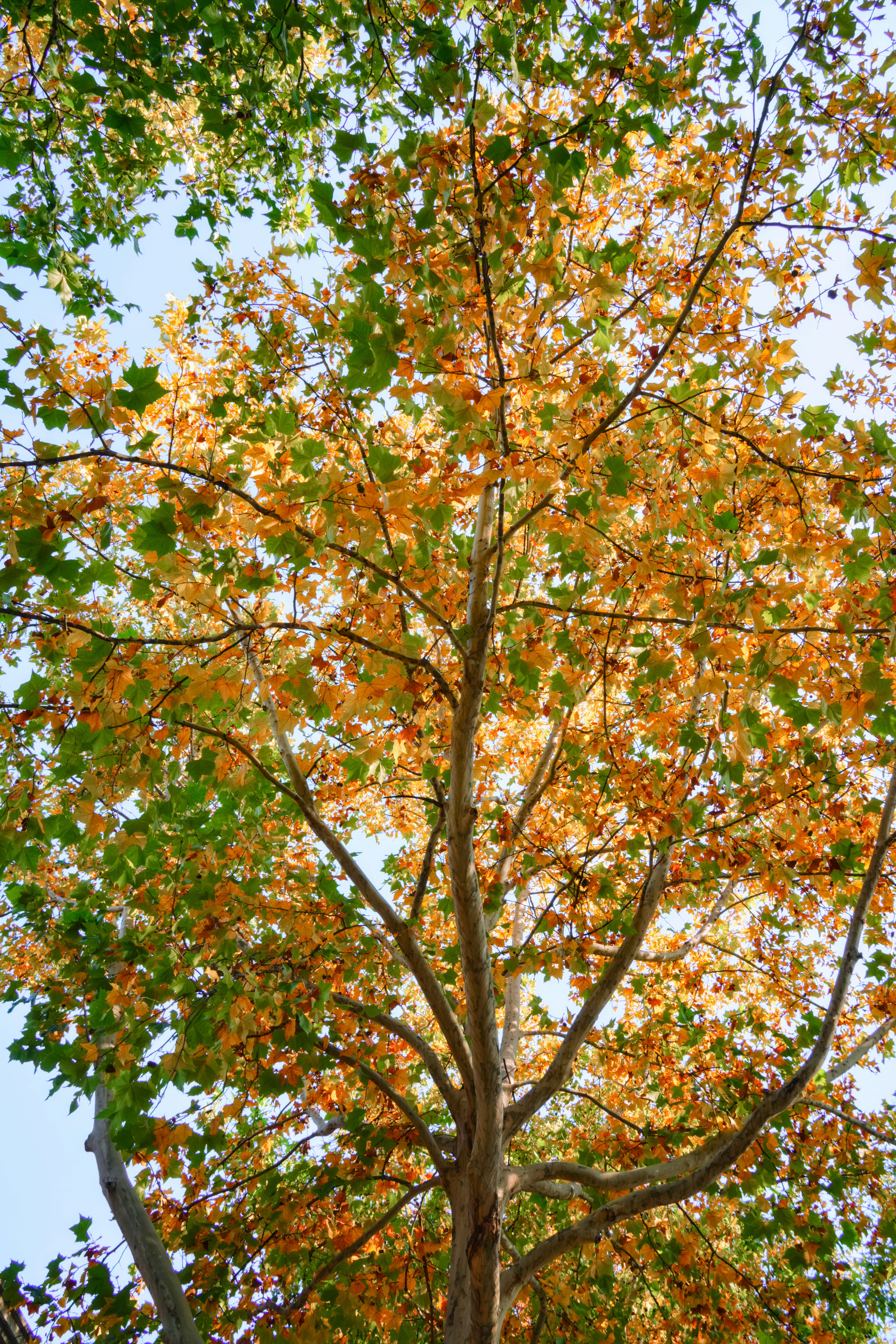 Photo by hattrick1996