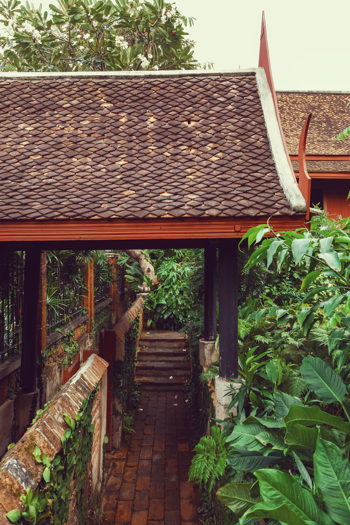 Terracotta tile roof in warm afternoon light.