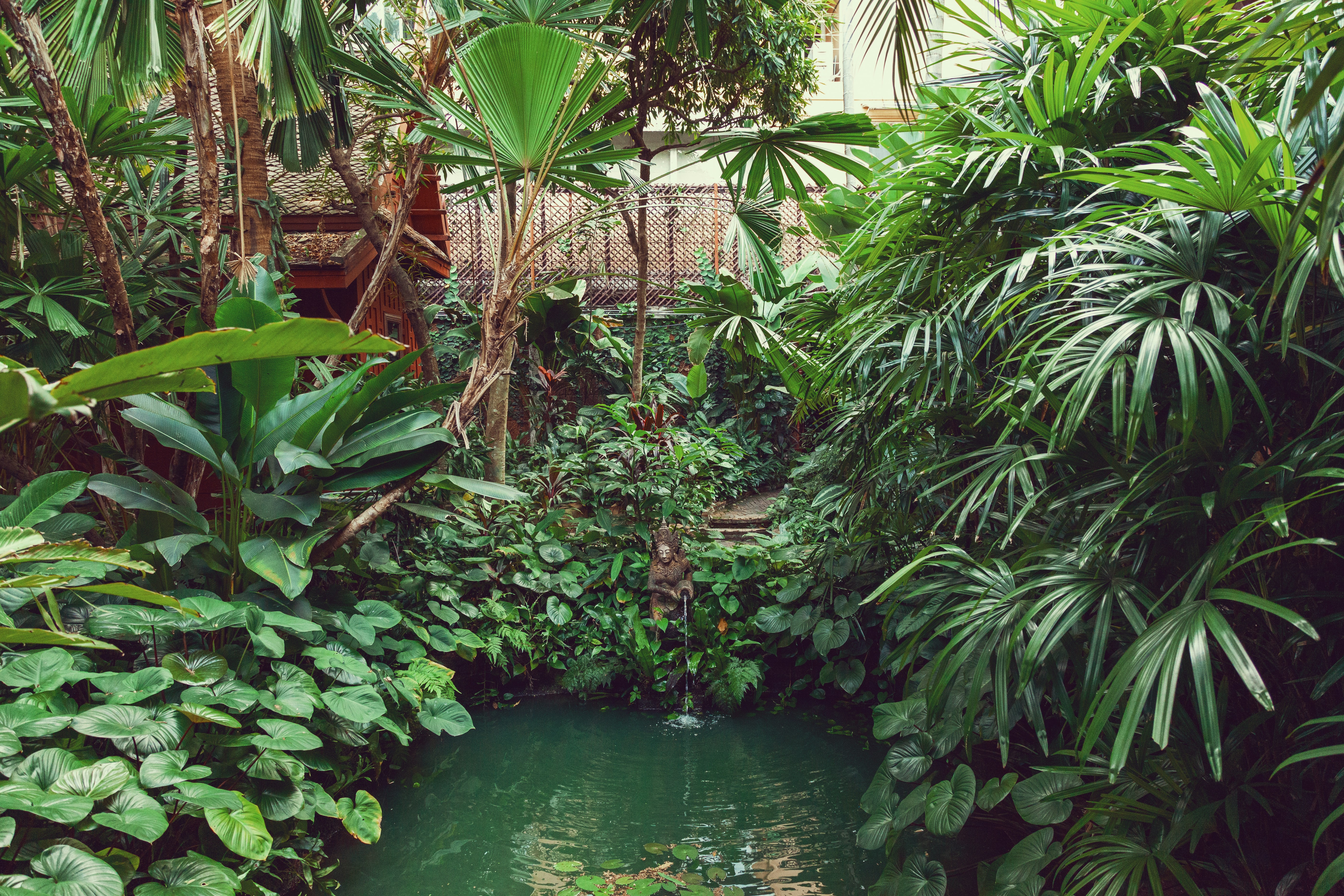 Piante acquatiche rigogliose intorno a uno specchio d'acqua naturale