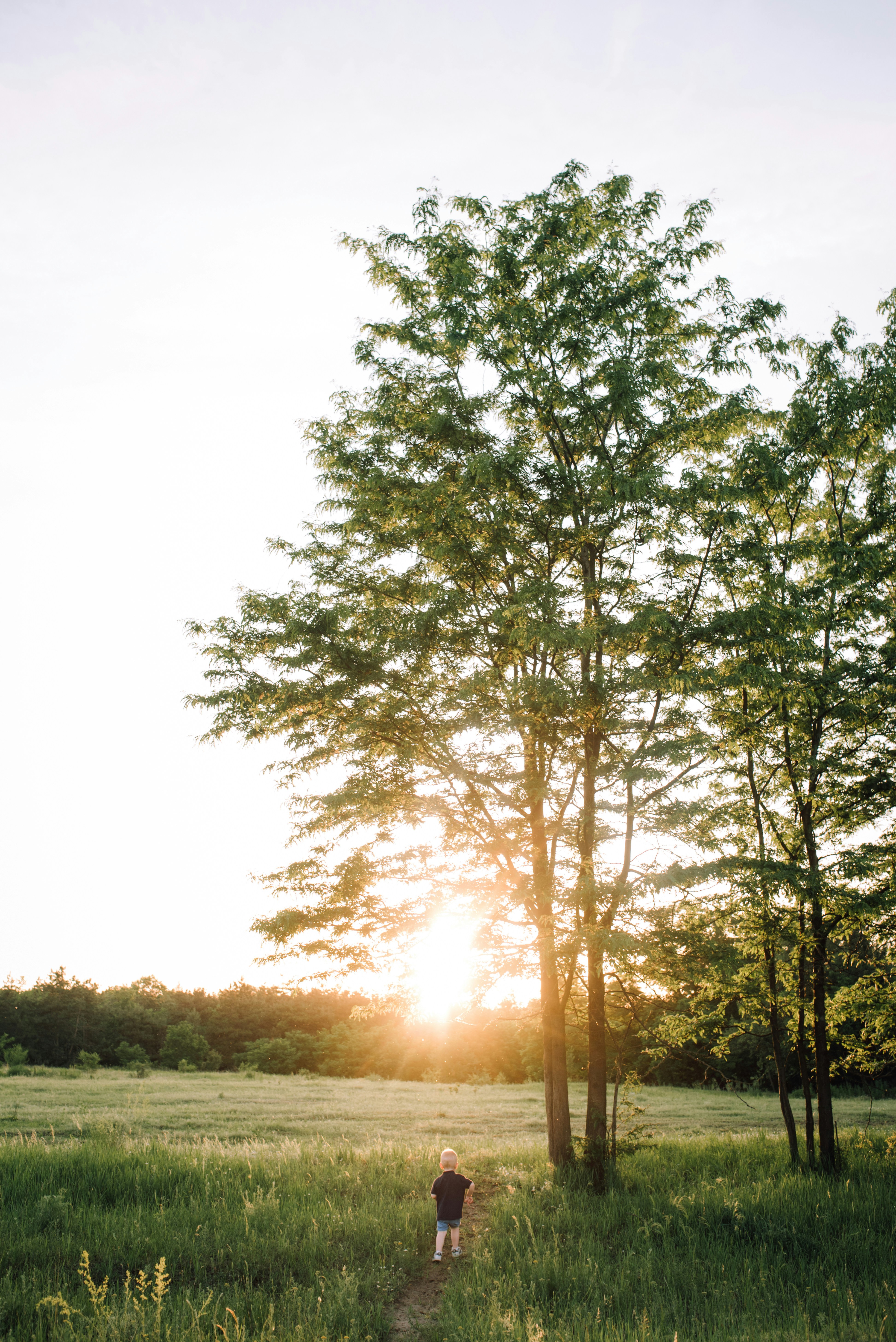 Child walking on path towards trees at sunset.