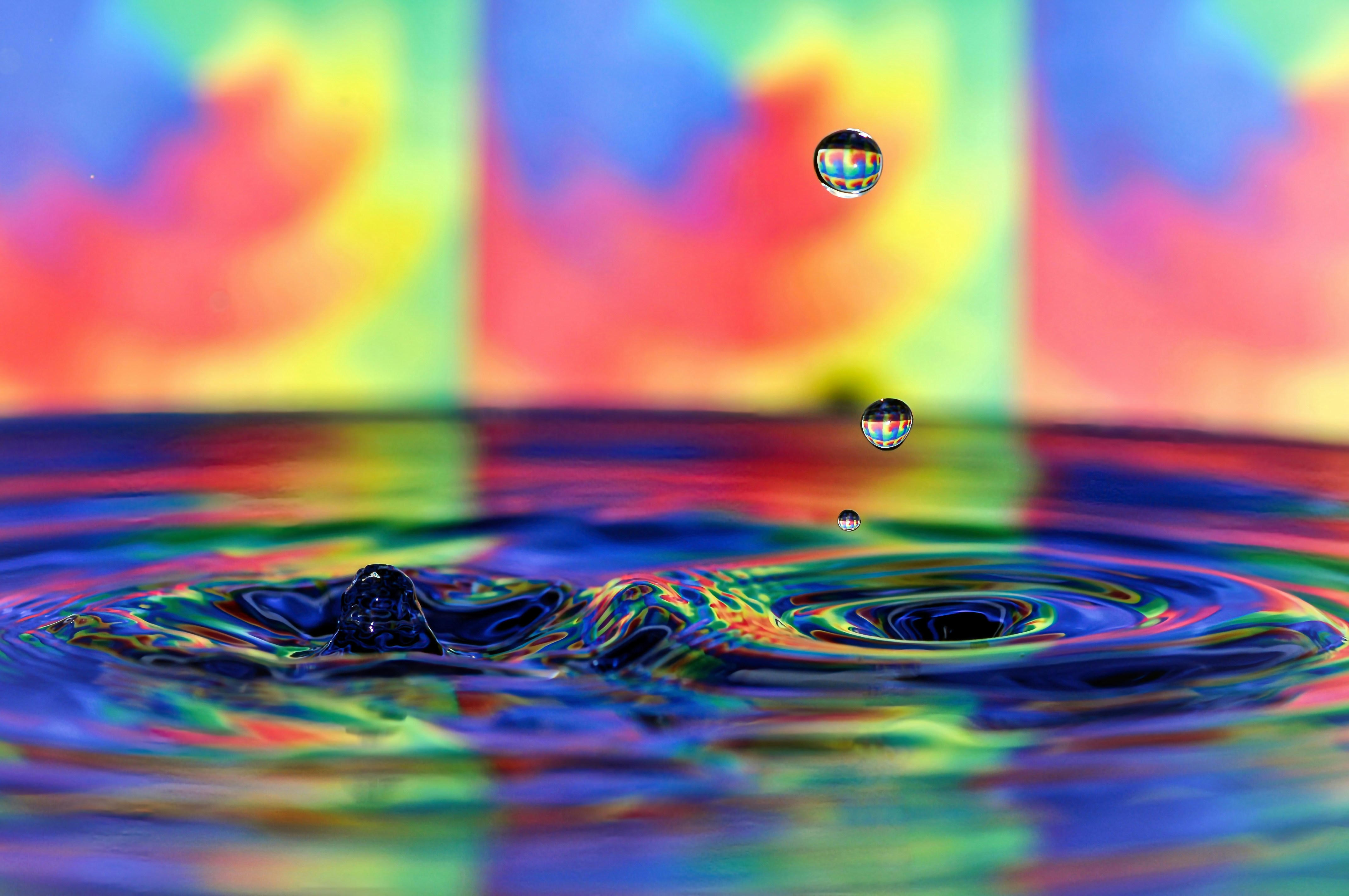 Cover Image for Art + Water: Artist Workshop with the Partnership for the Delaware Estuary