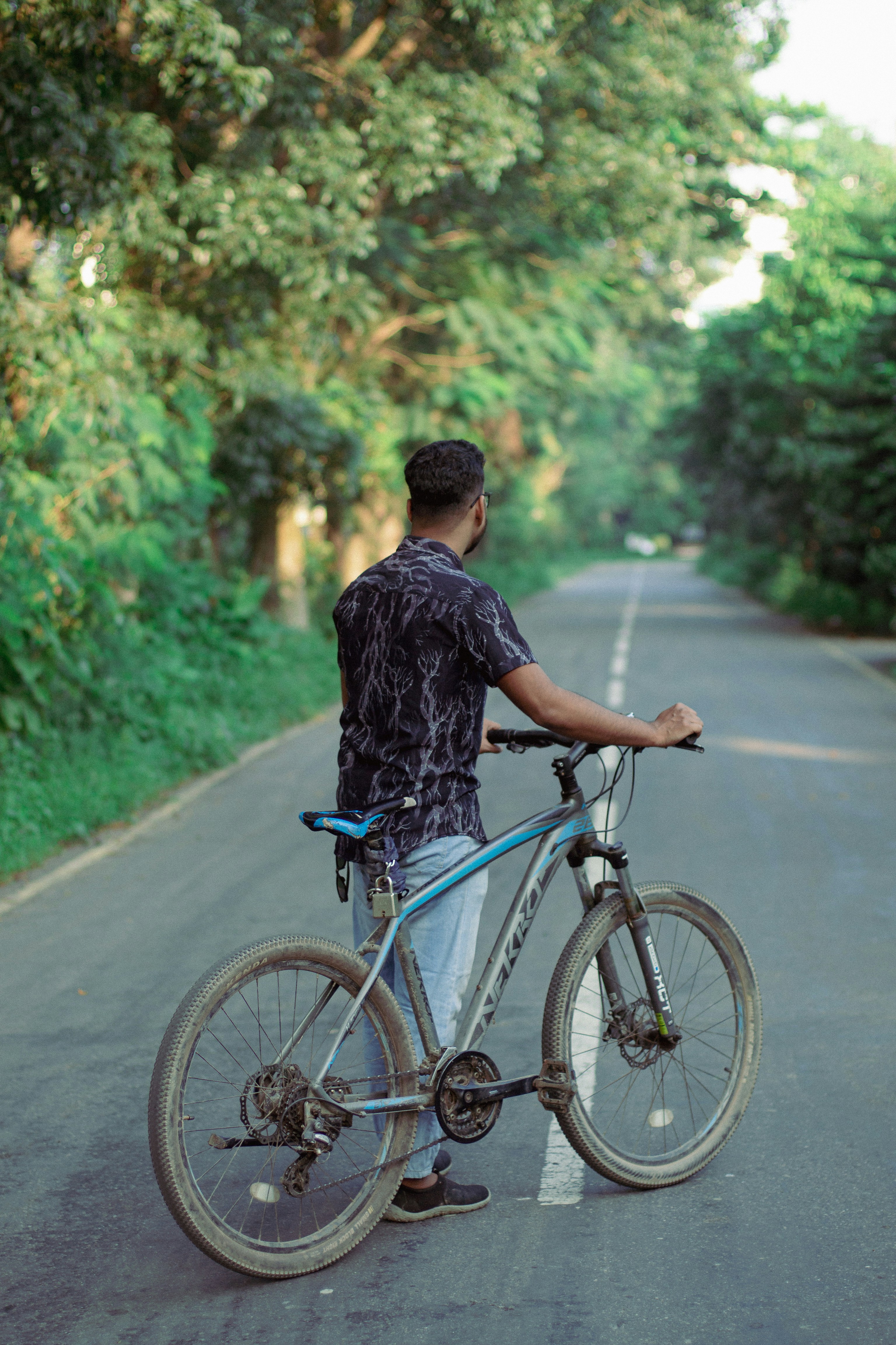 Man with bicycle on a tree-lined road.