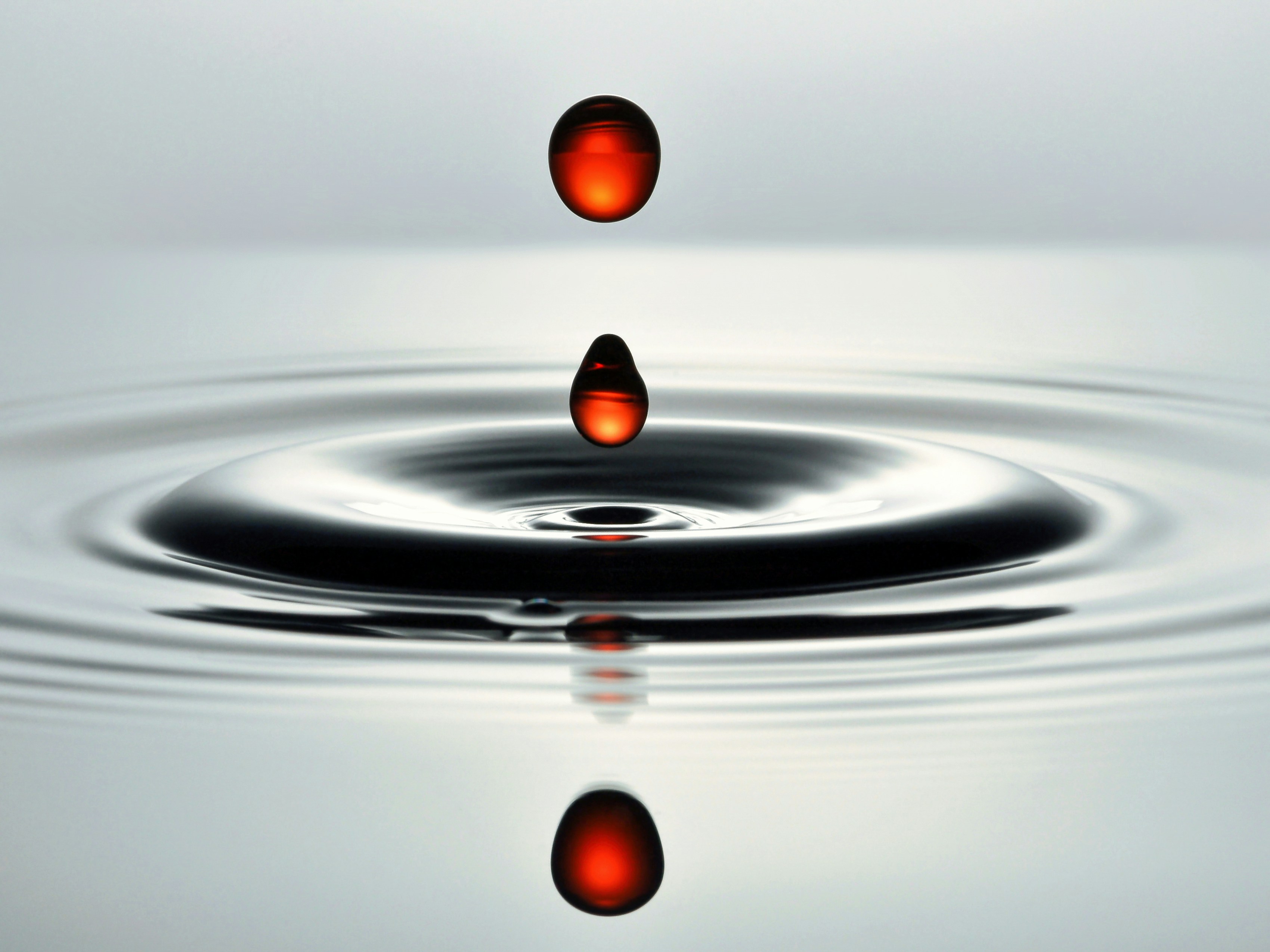 is success, and let that energy guide your actions - Aligning thoughts and emotions for manifestation