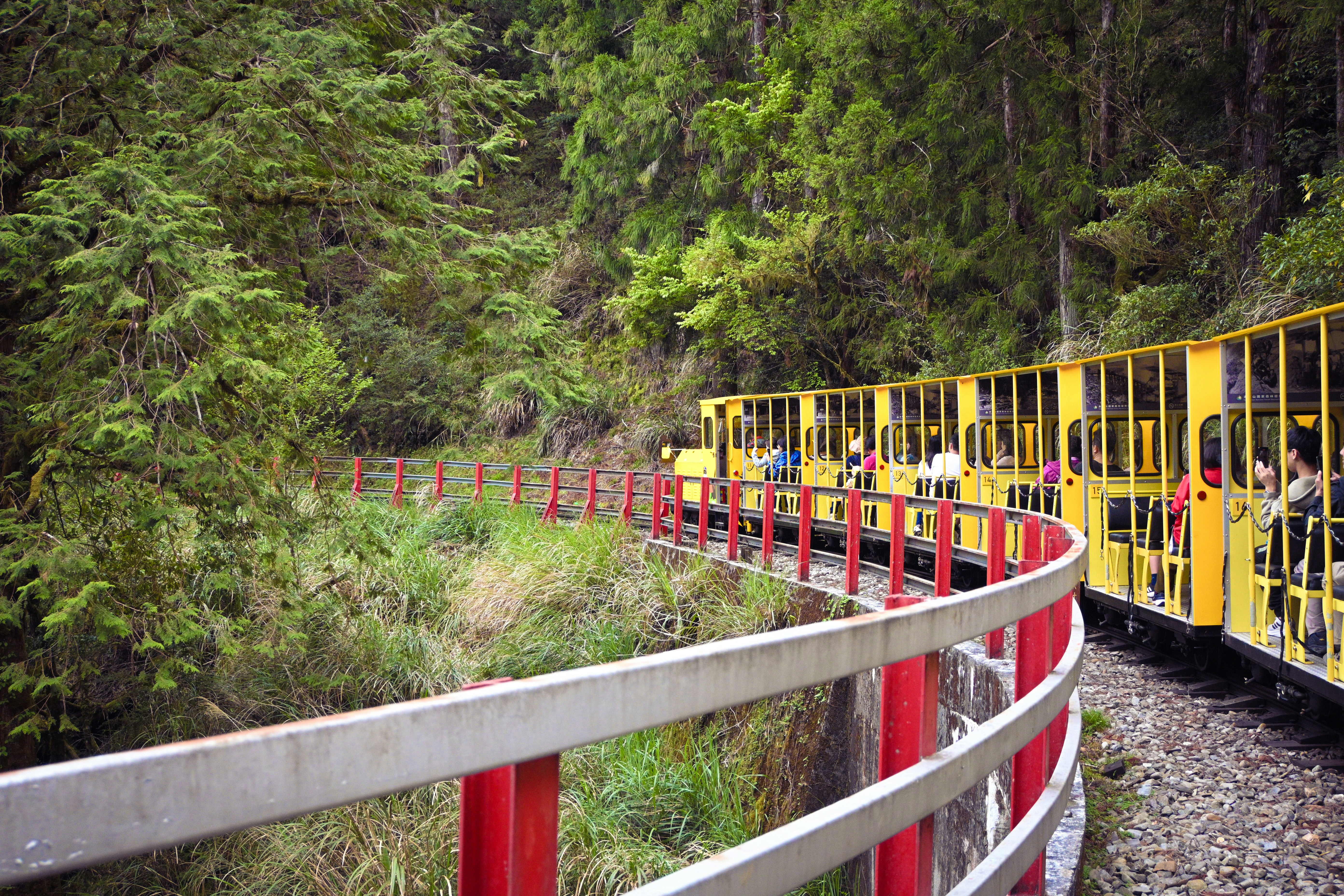 Yellow train on a curved track through a forest
