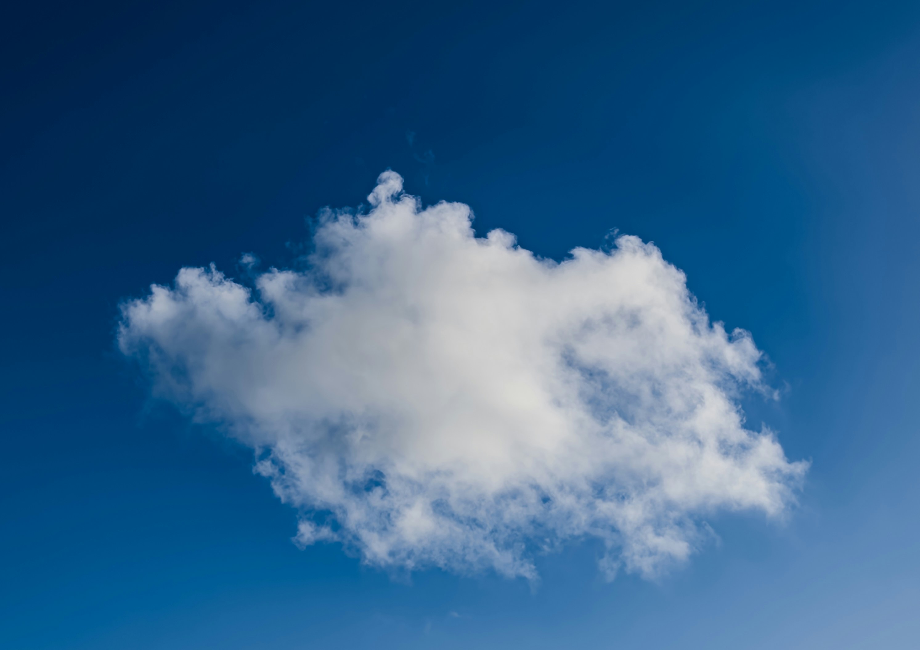 Photo by bill_eccles