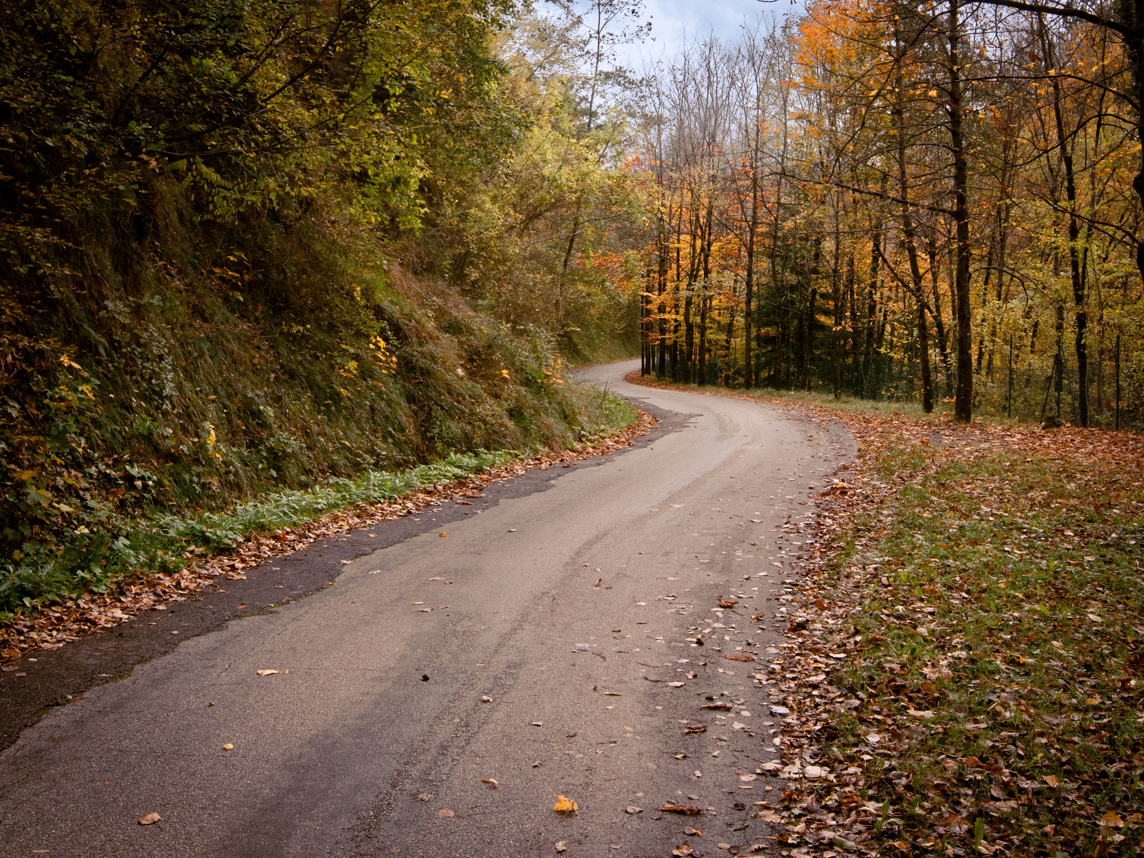 Photo by paolobendandi