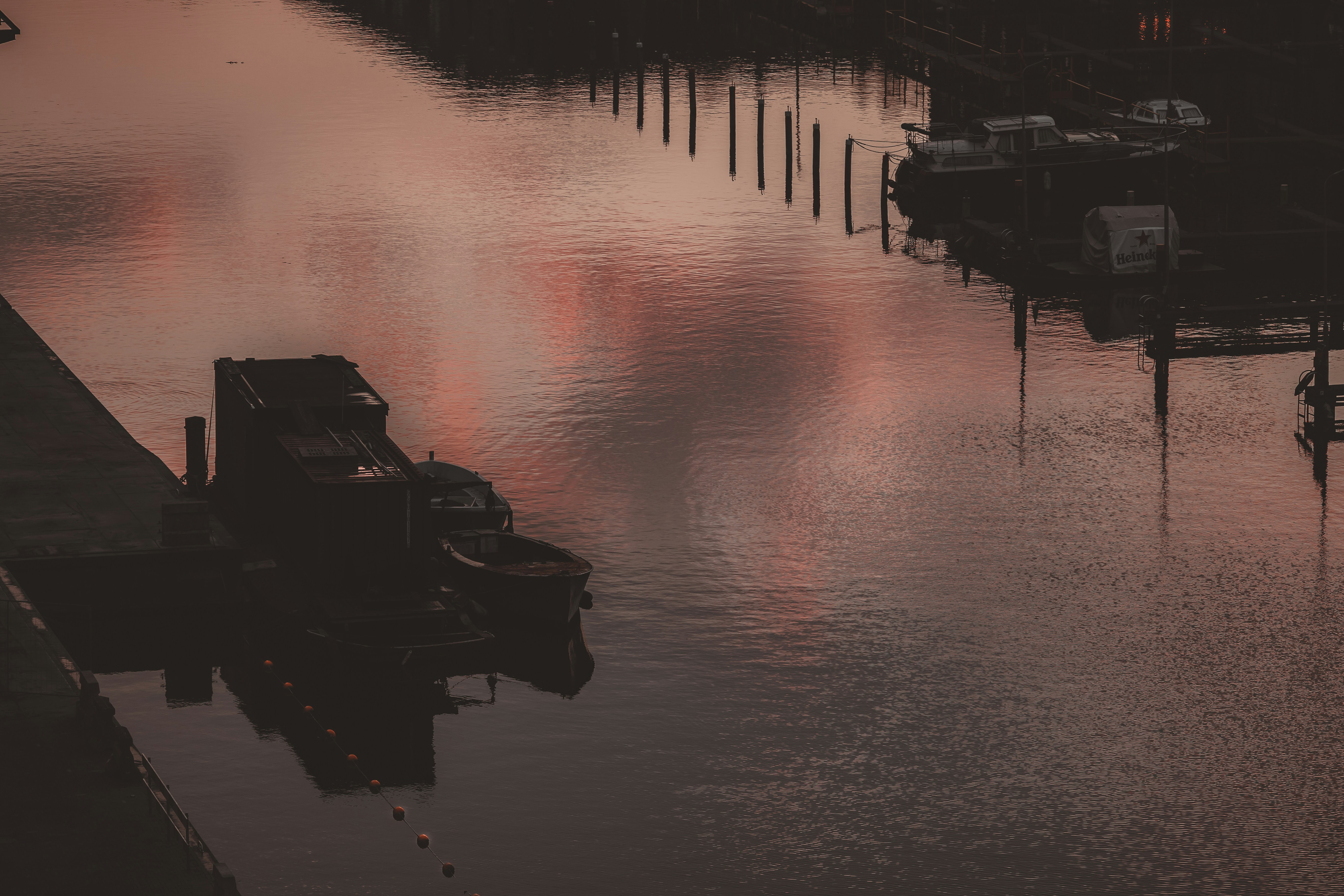 Photo by bahar_ghiasi