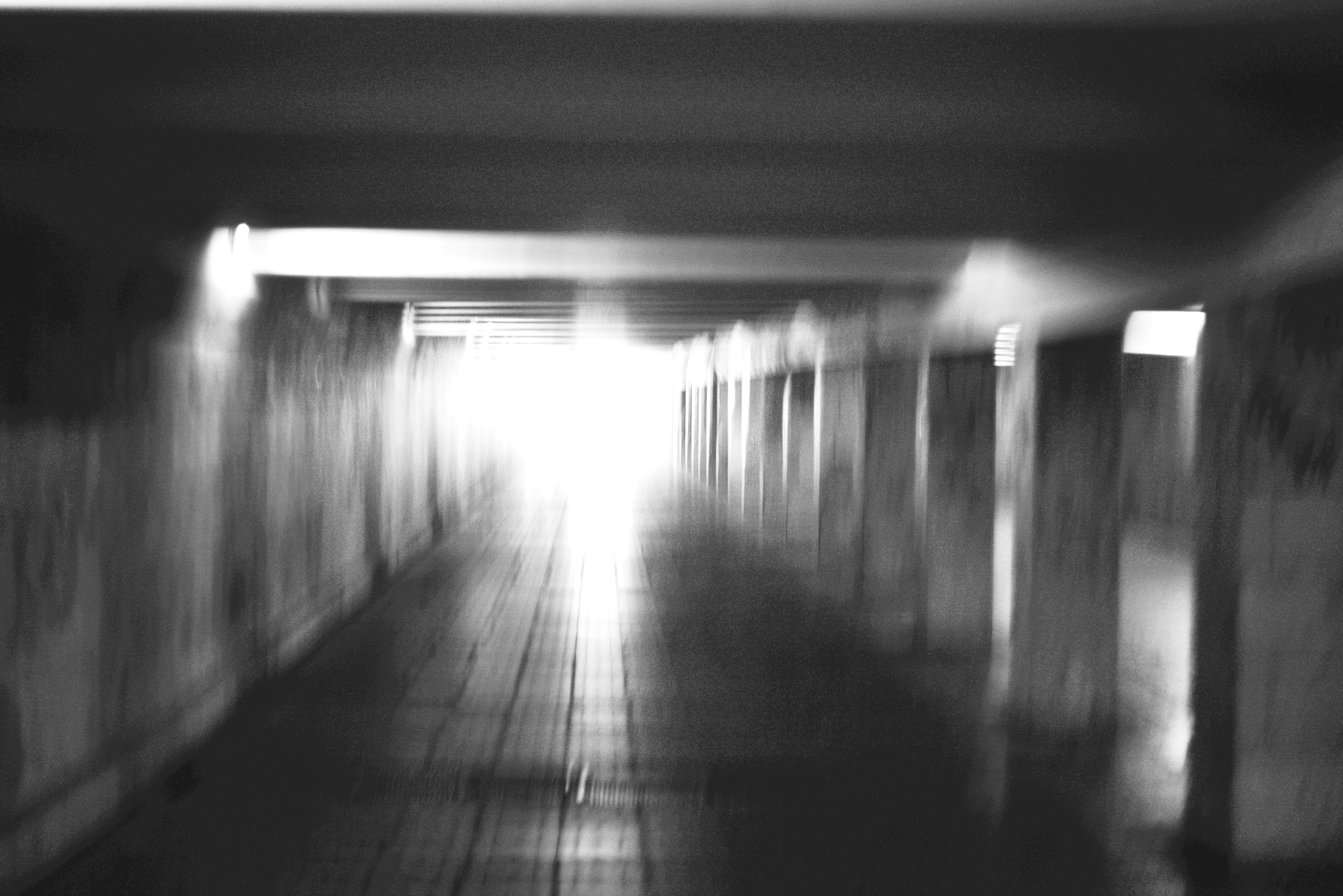 Photo by cherstve_pechivo