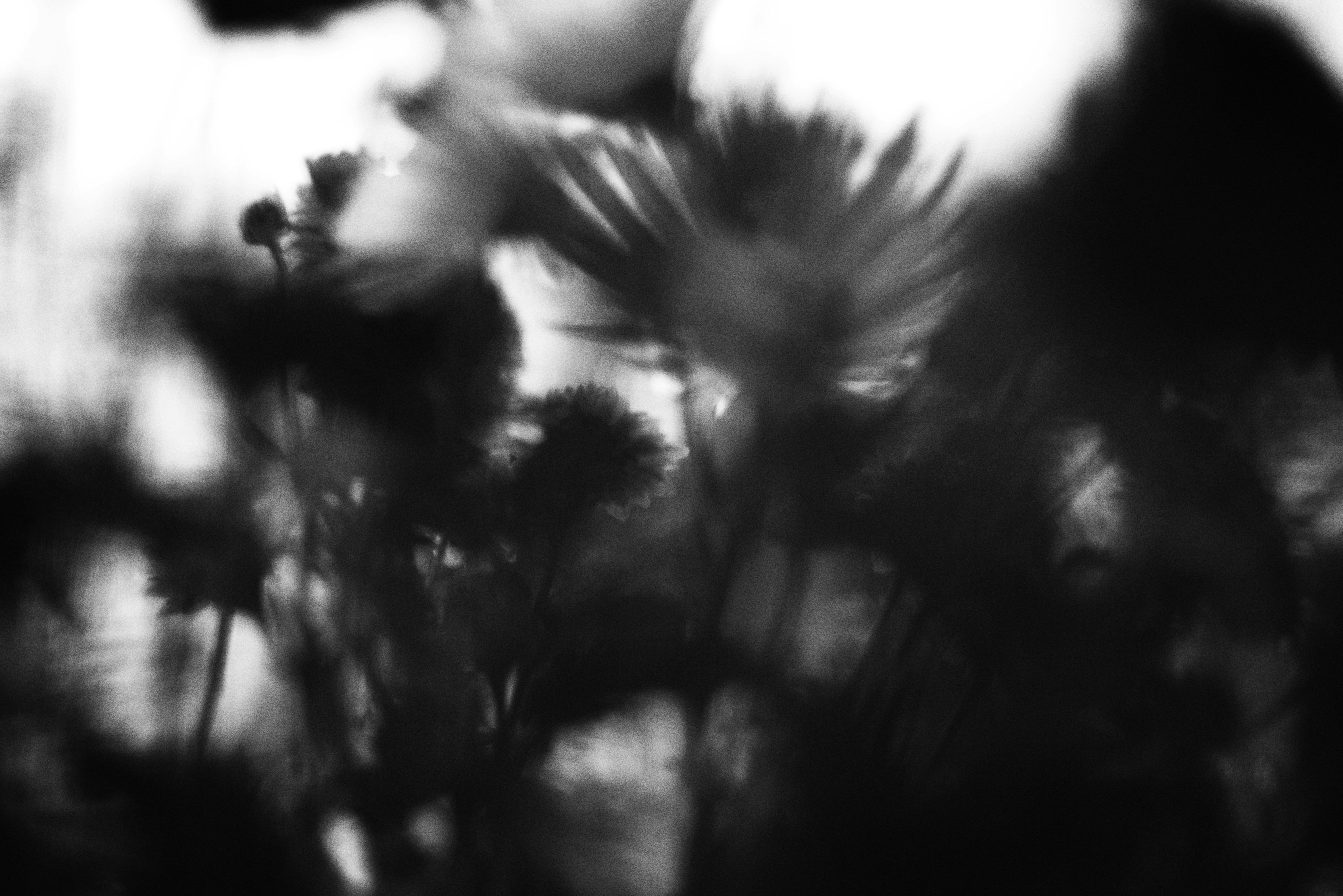 Photo by cherstve_pechivo