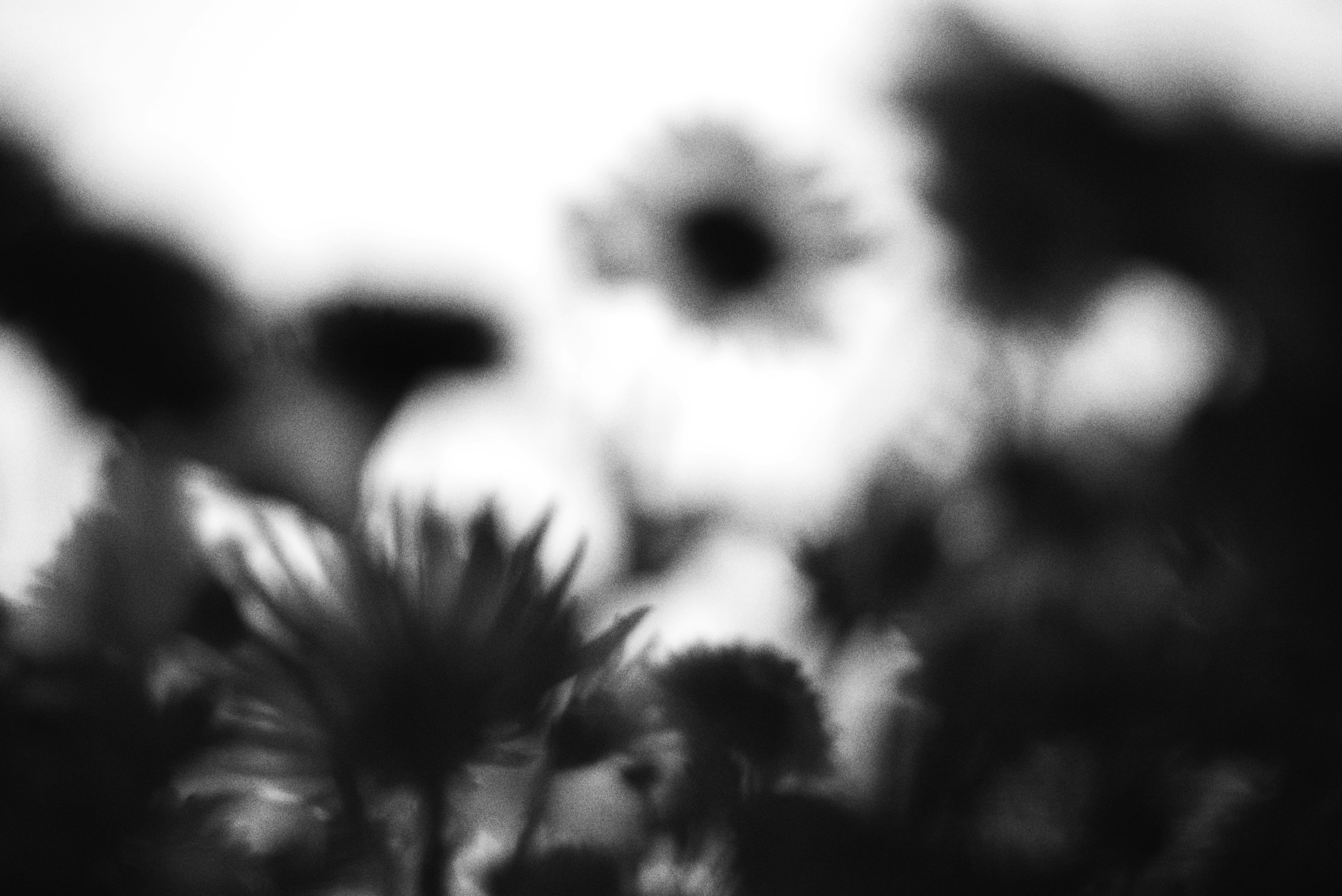 Picking The Ideal Insurance Coverage Representative For Your Family Members&#x27;S Financial Well-Being