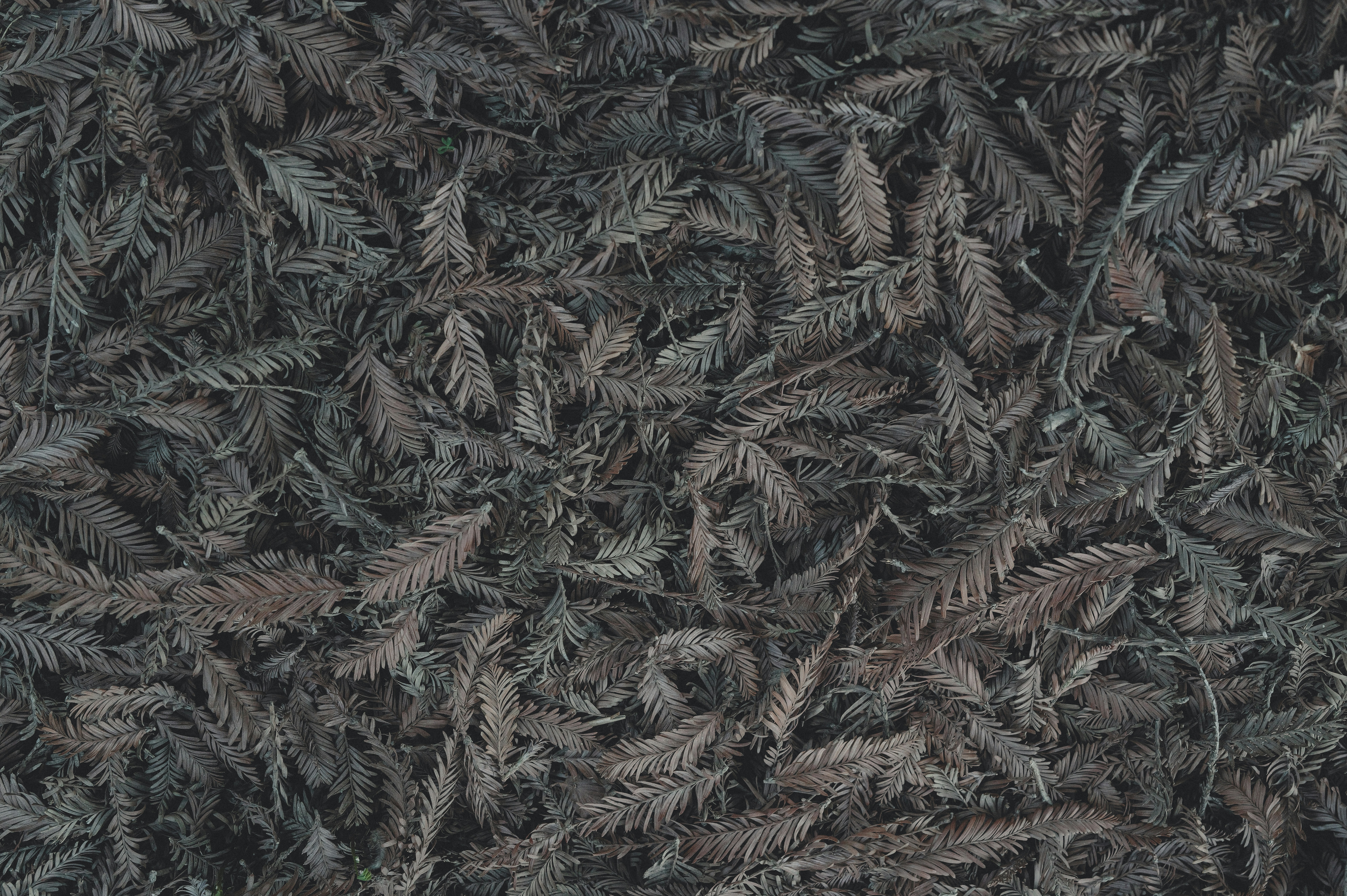 Photo by anyachernykh